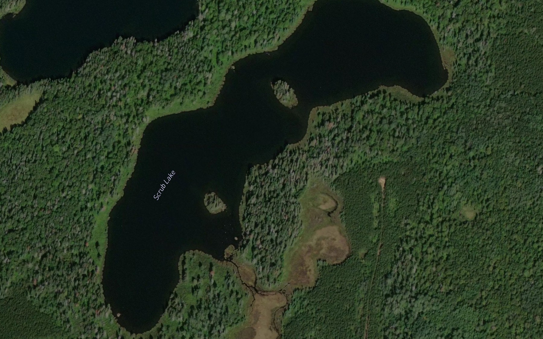 Satellite map of the Scrub Lake