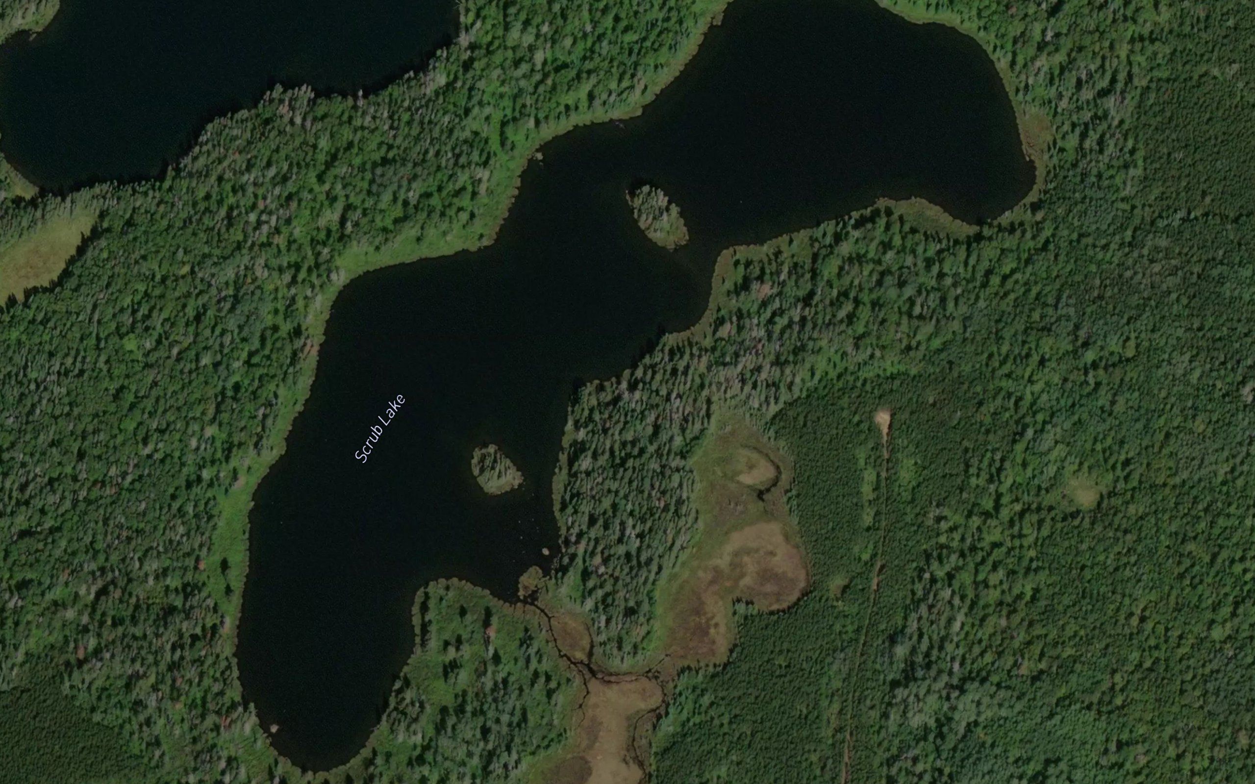 Scrub Lake