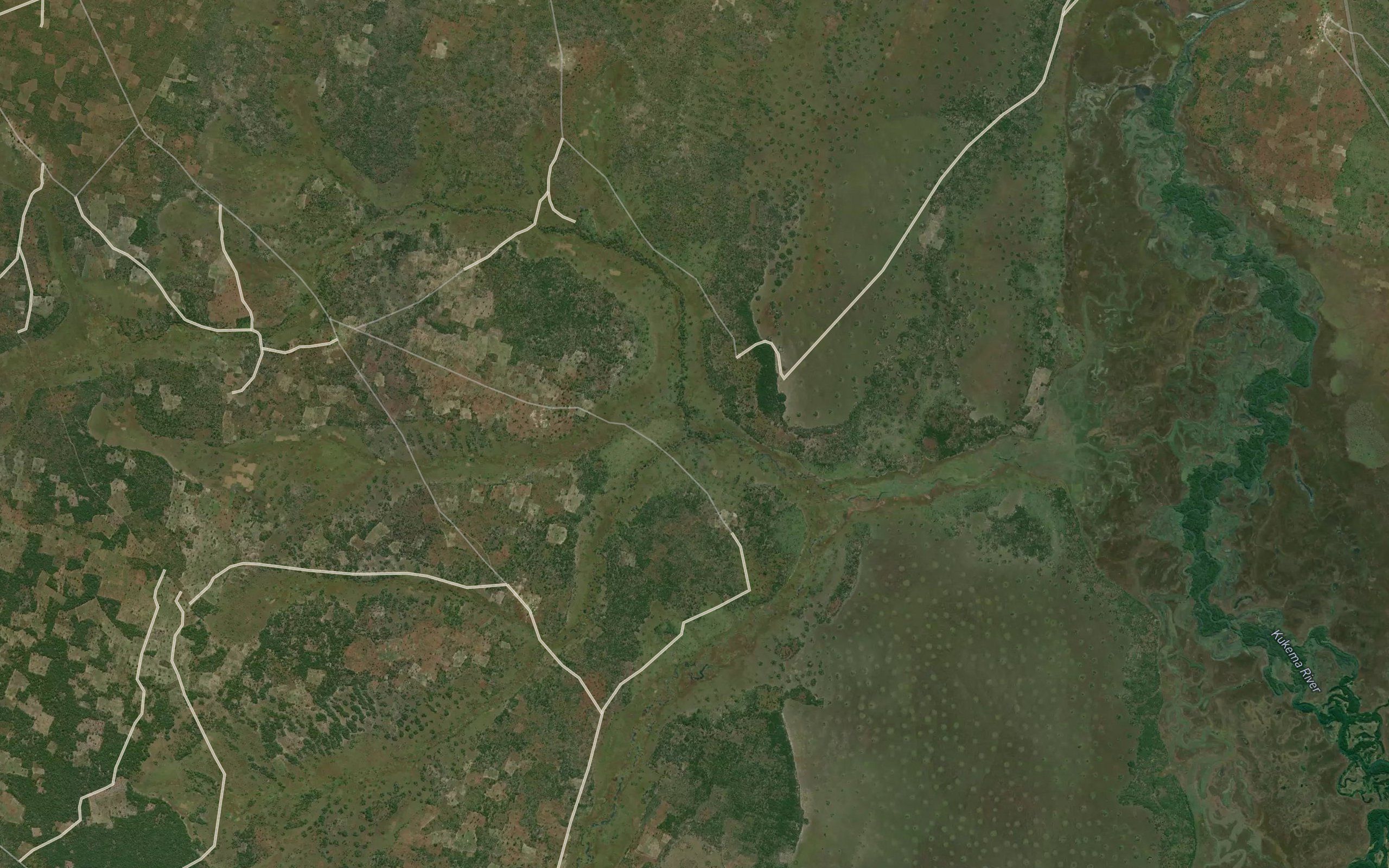 Tchingunguta