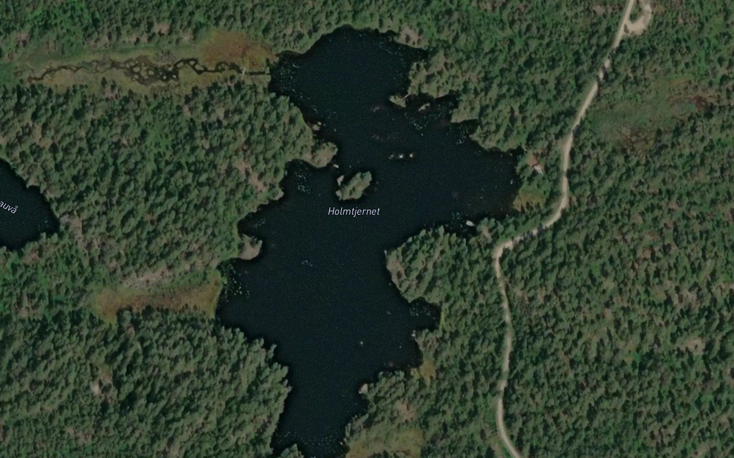 Holmtjernet
