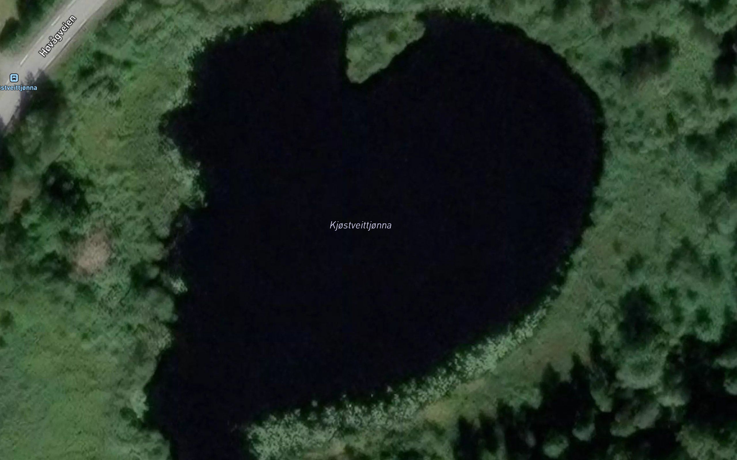 Kjostveittjorna