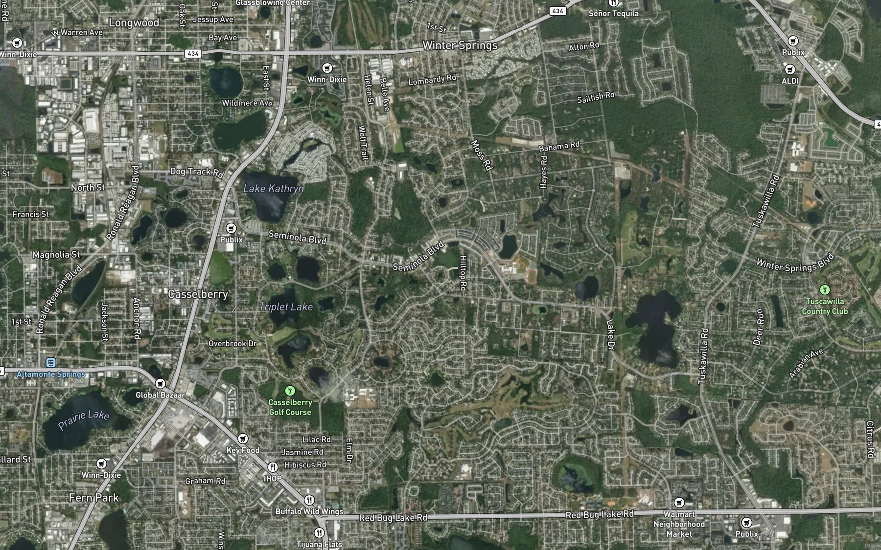 Satellite map of the Duck Pond