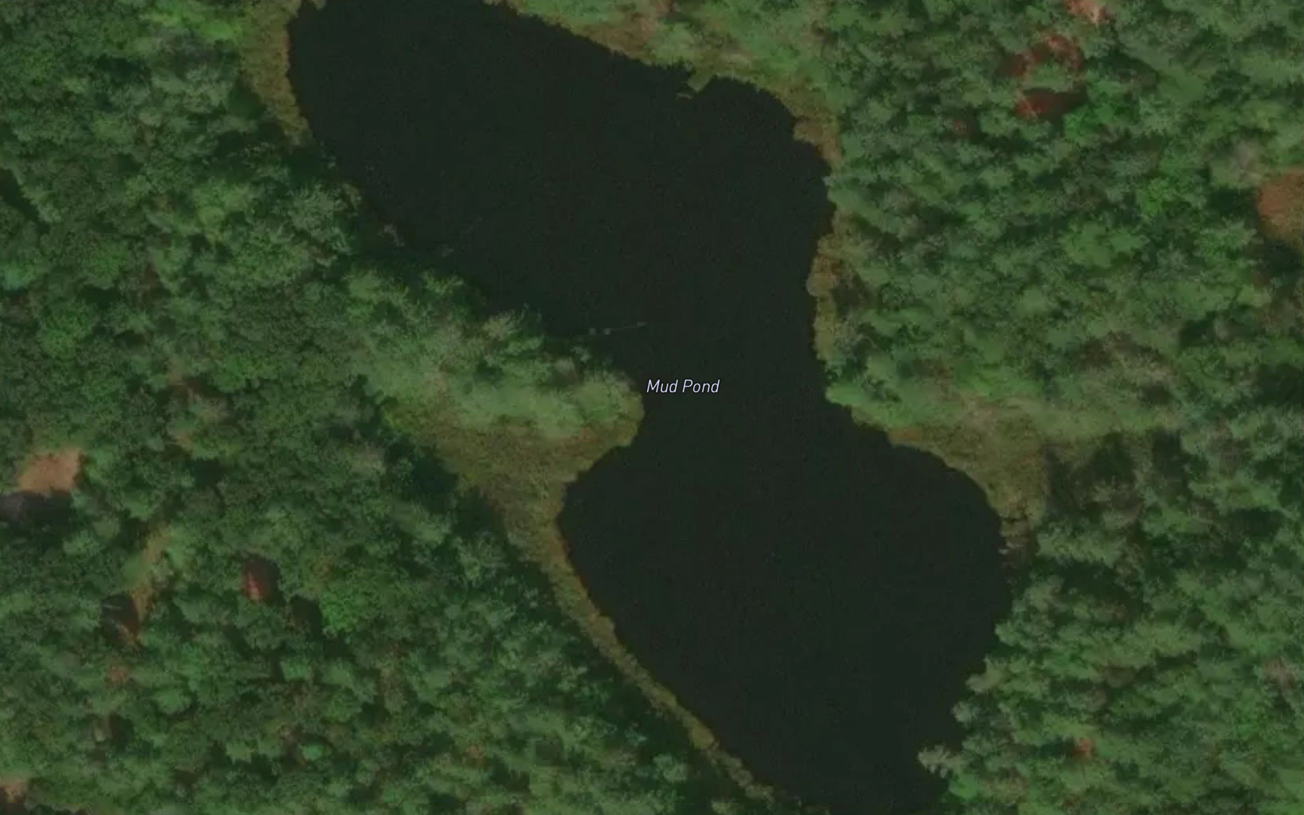 Mud Pond