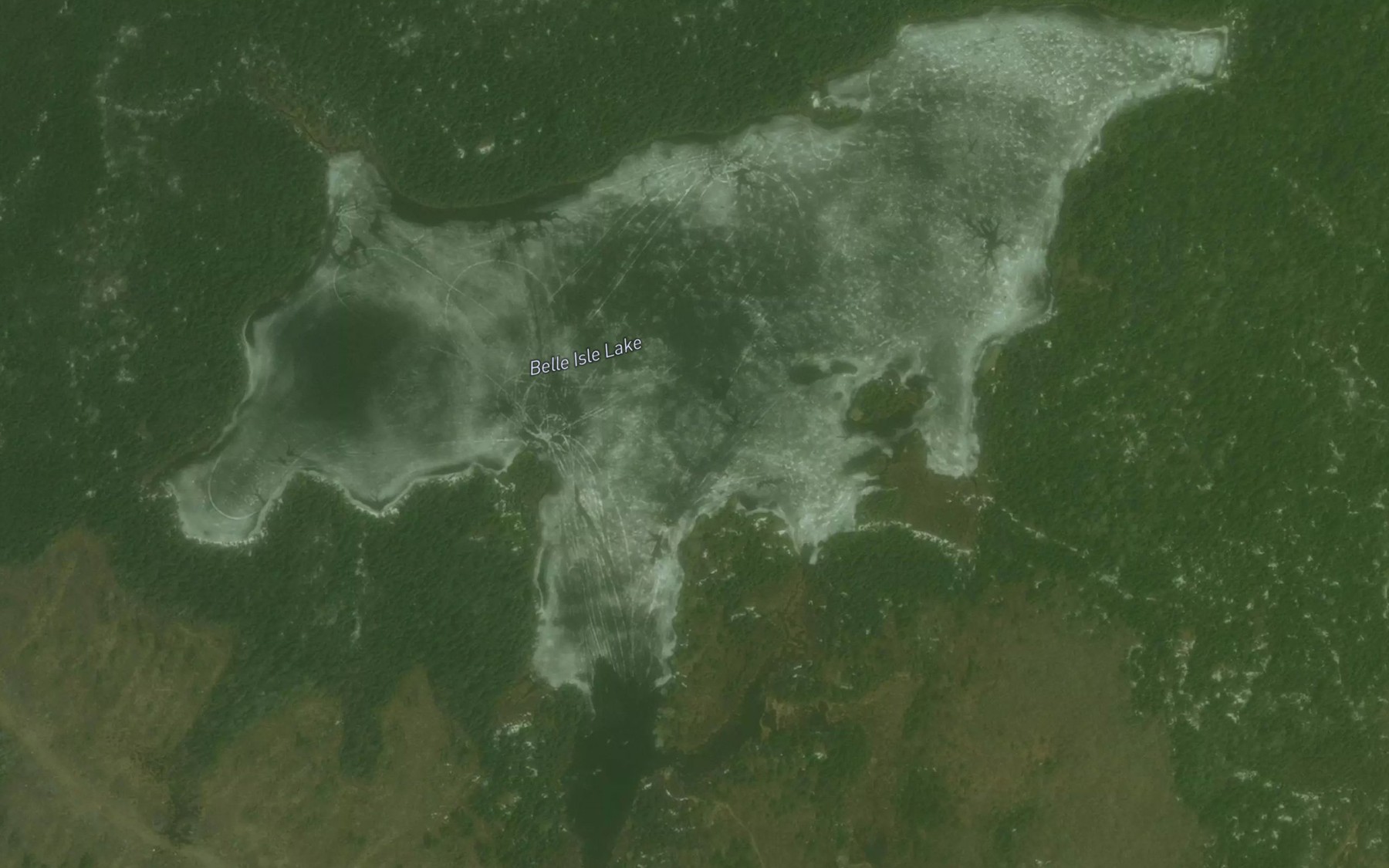 Satellite map of the Belle Isle Lake