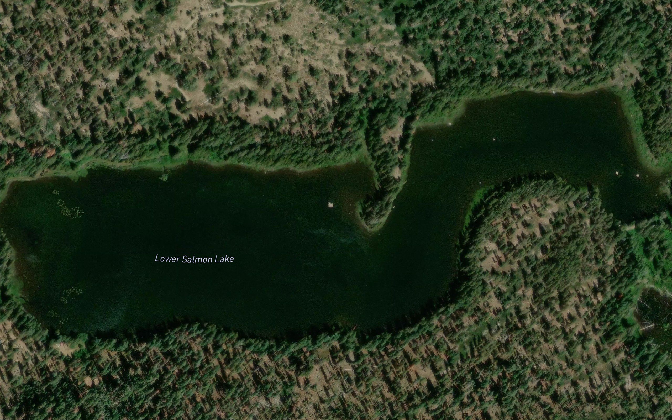 Lower Salmon Lake