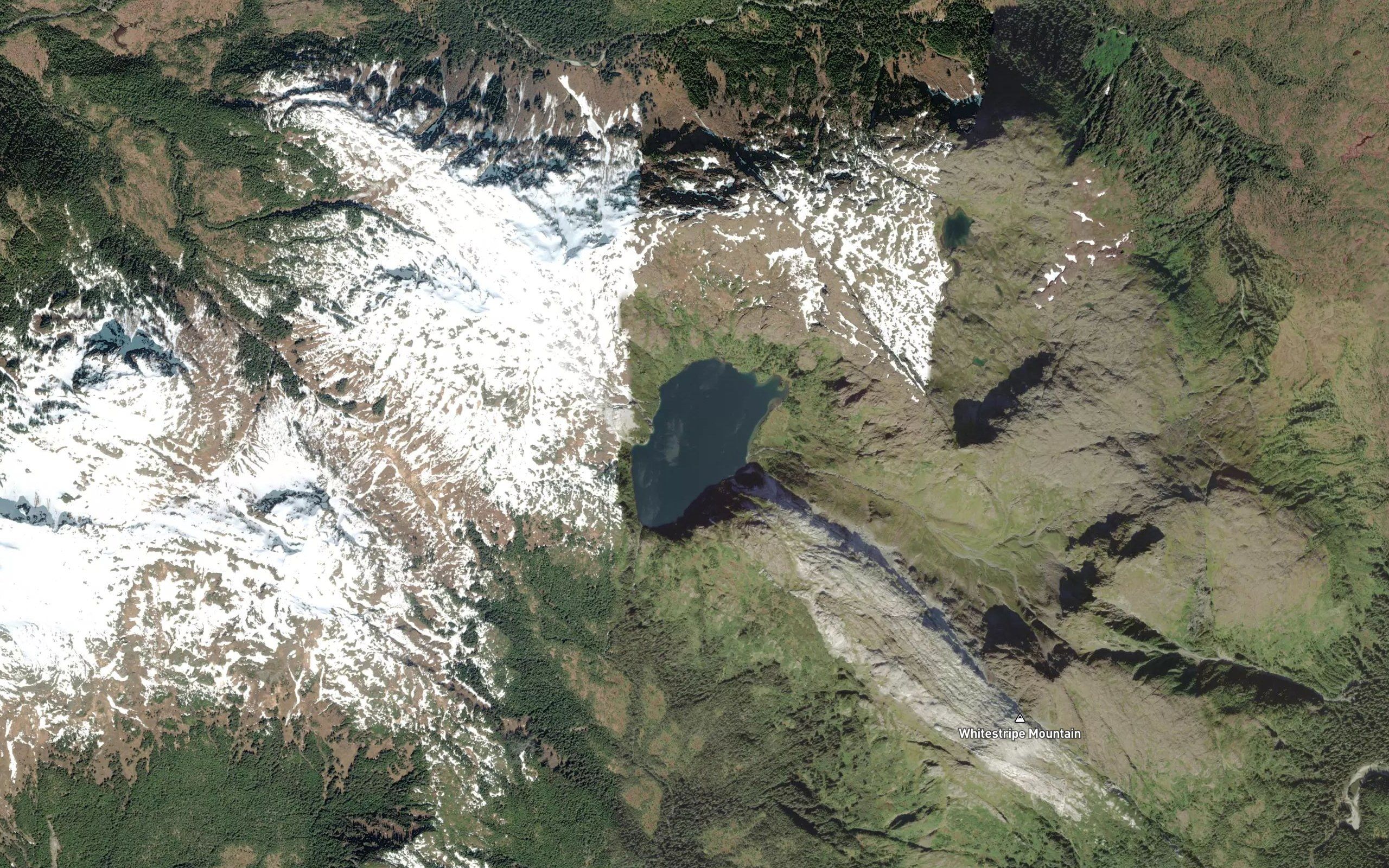 Whitestripe Lake