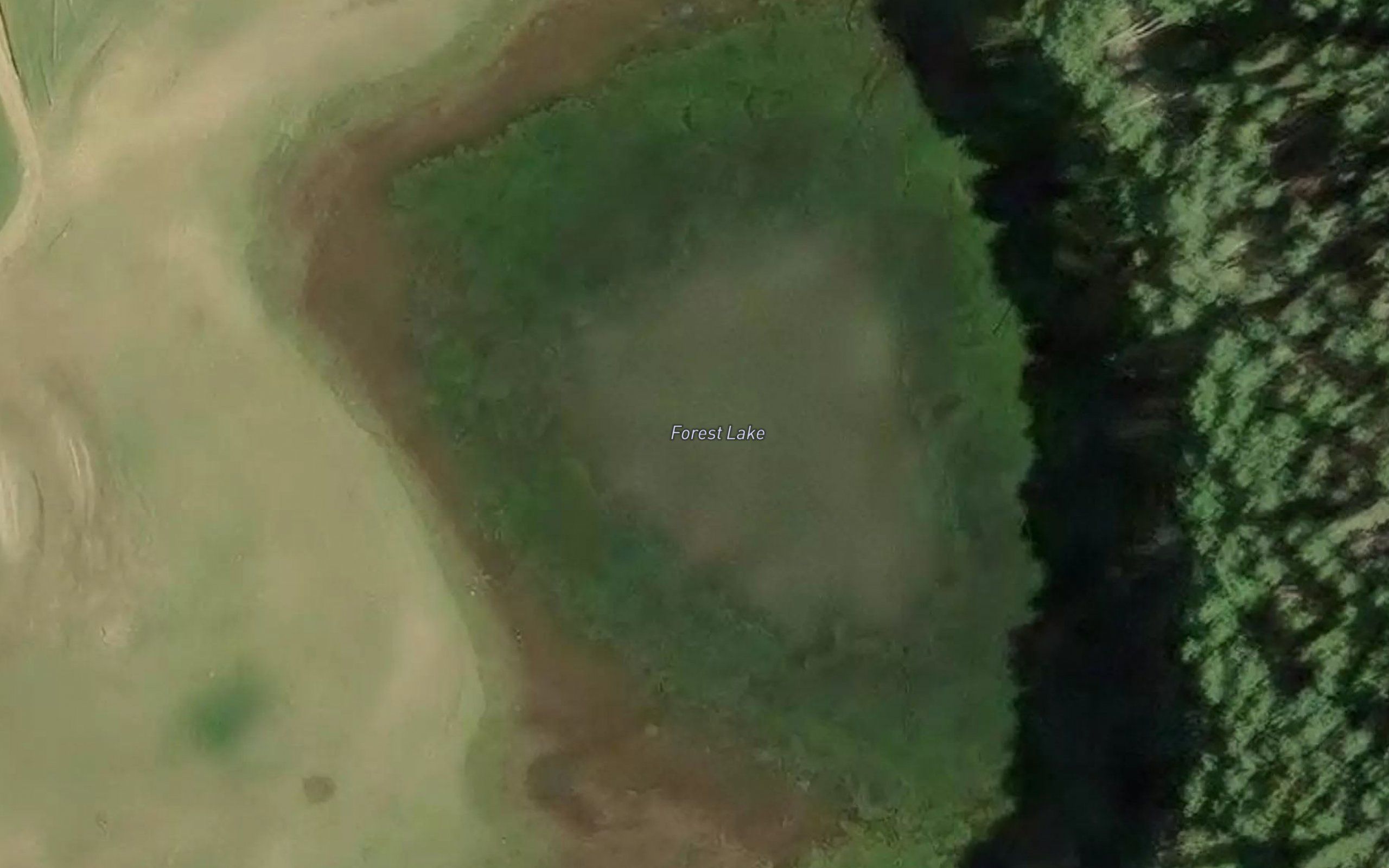 Forest Lake