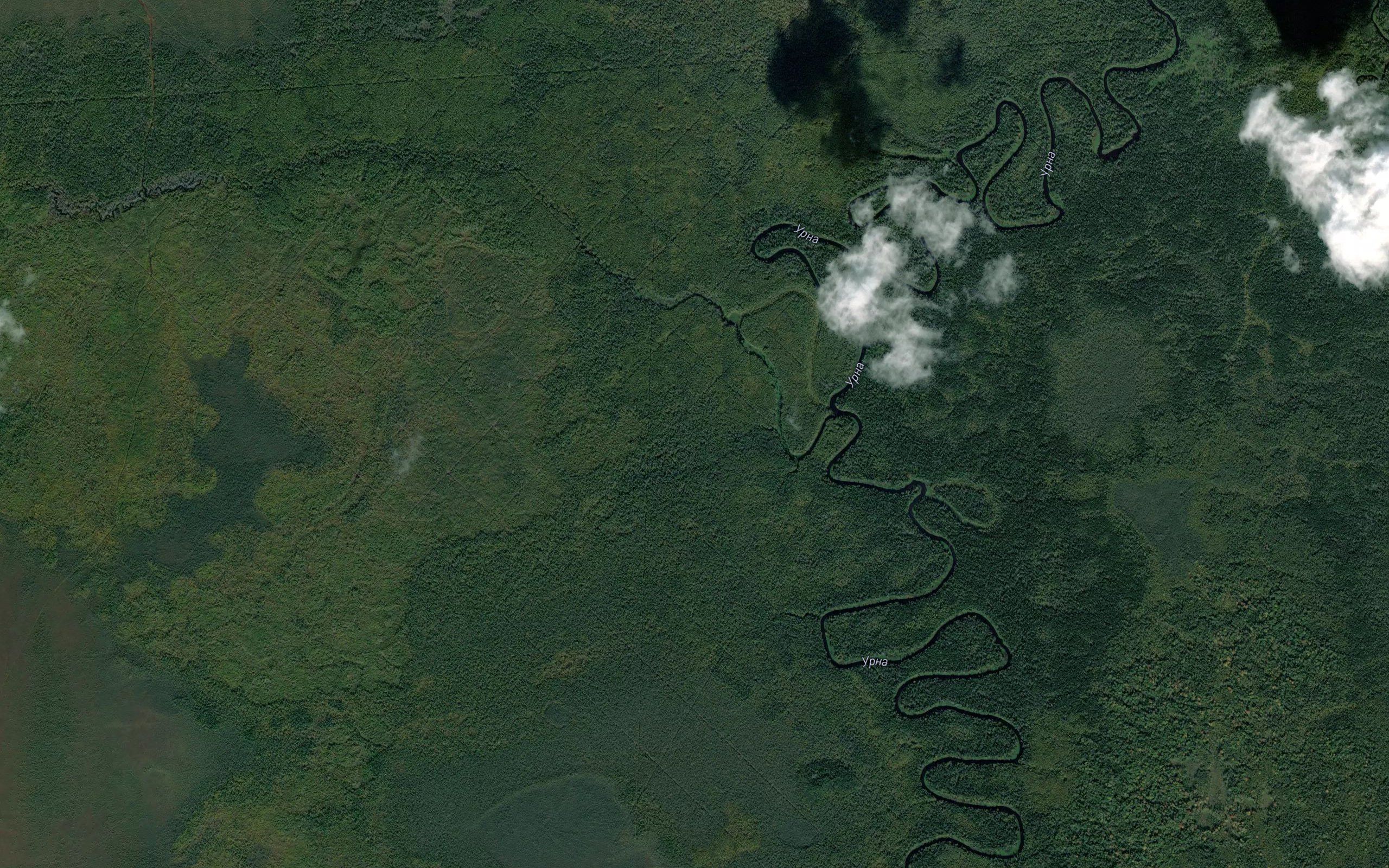 Garnaya