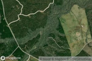 Buffalo Creek