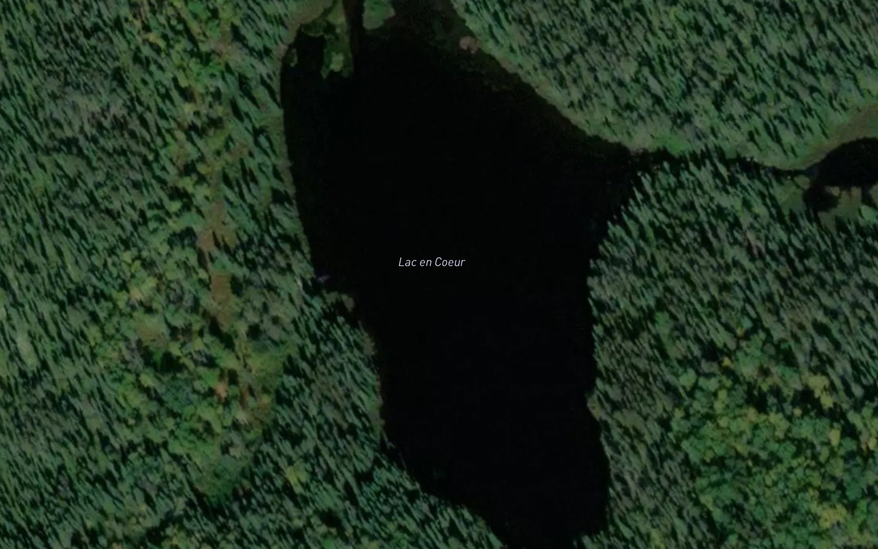 Satellite map of the Lac en Coeur
