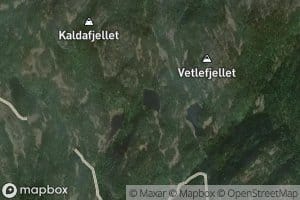 Svartatjorn