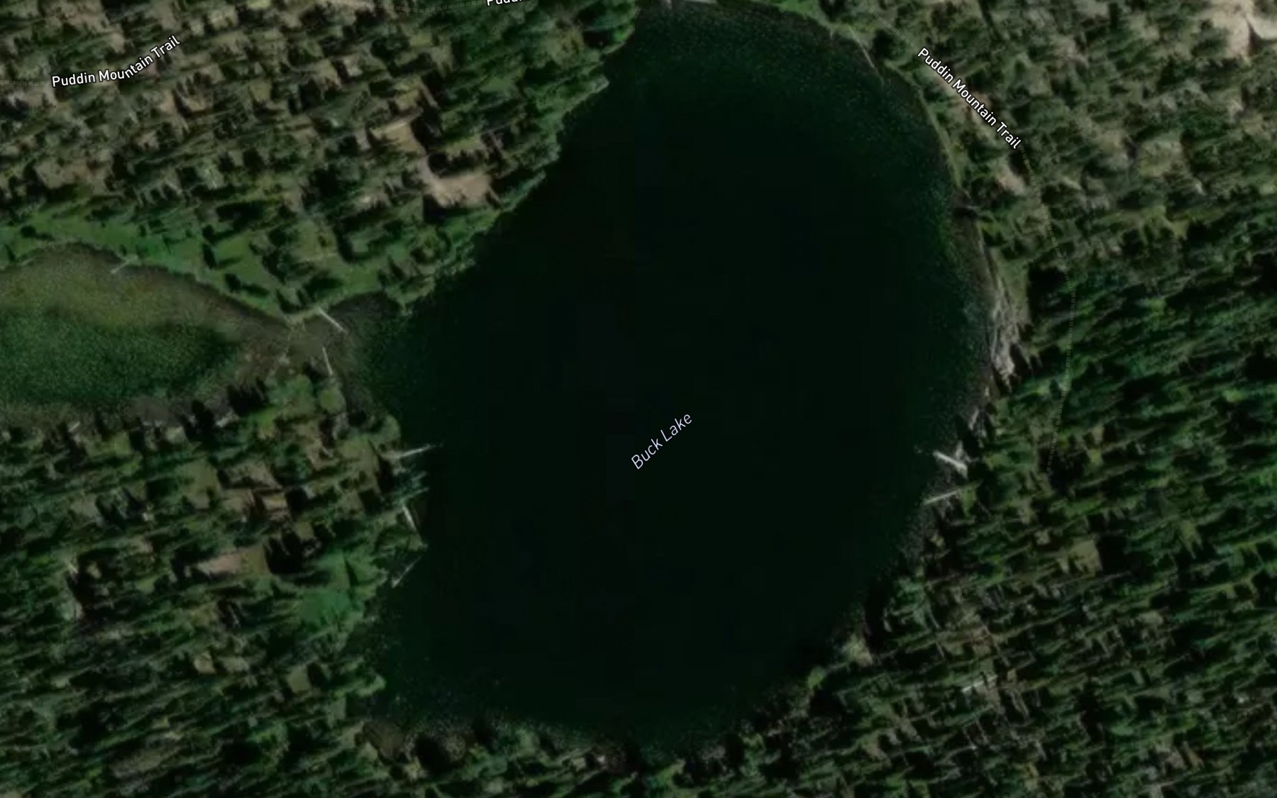 Satellite map of the Buck Lake