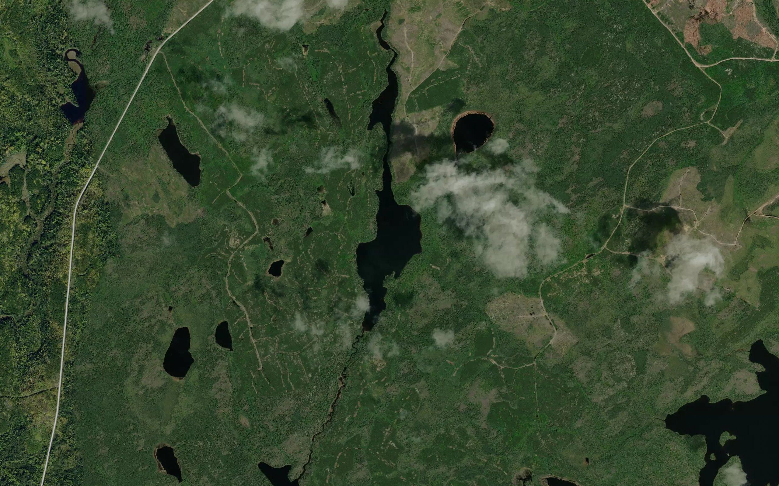 McNeely Lake
