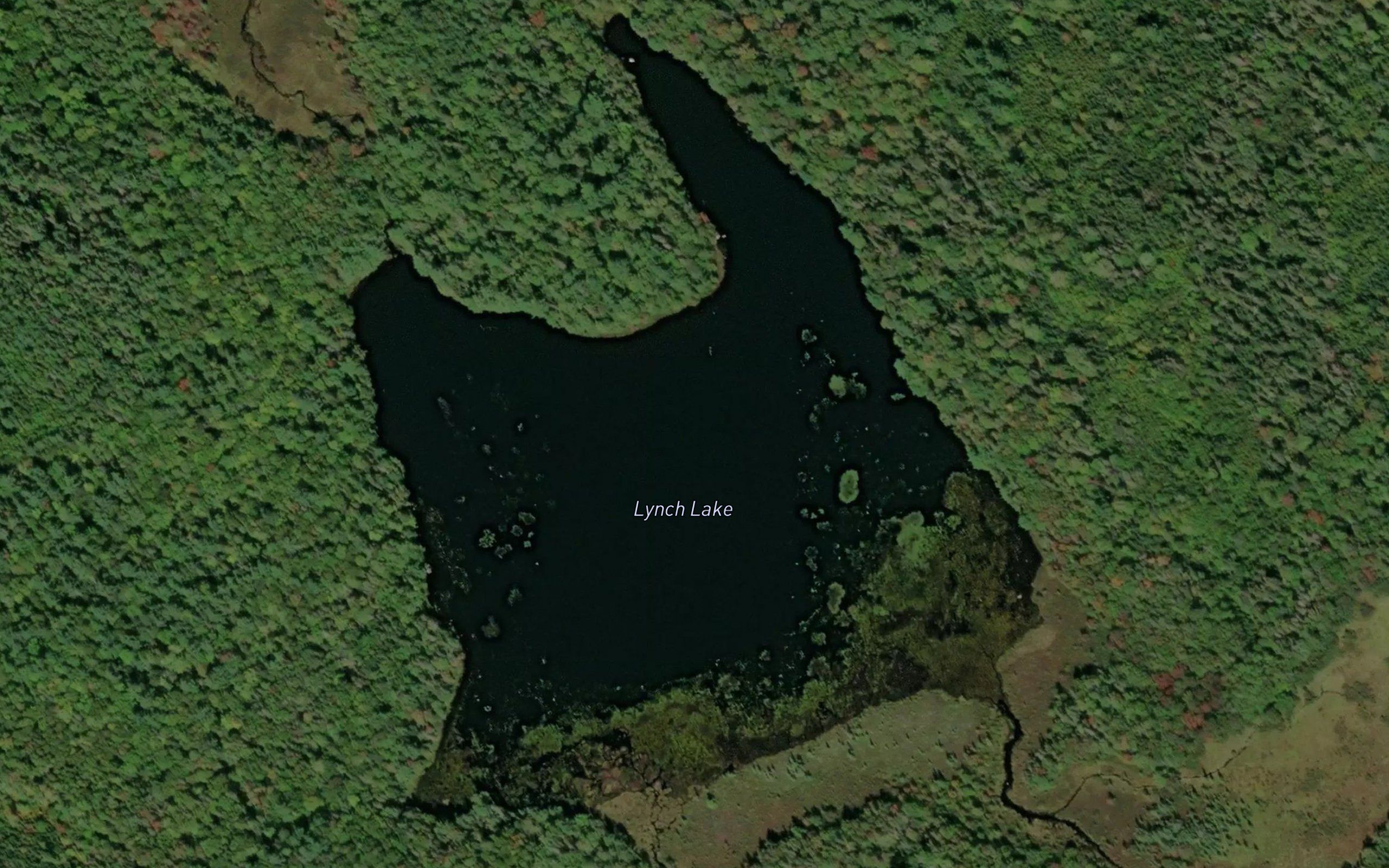 Lynch Lake