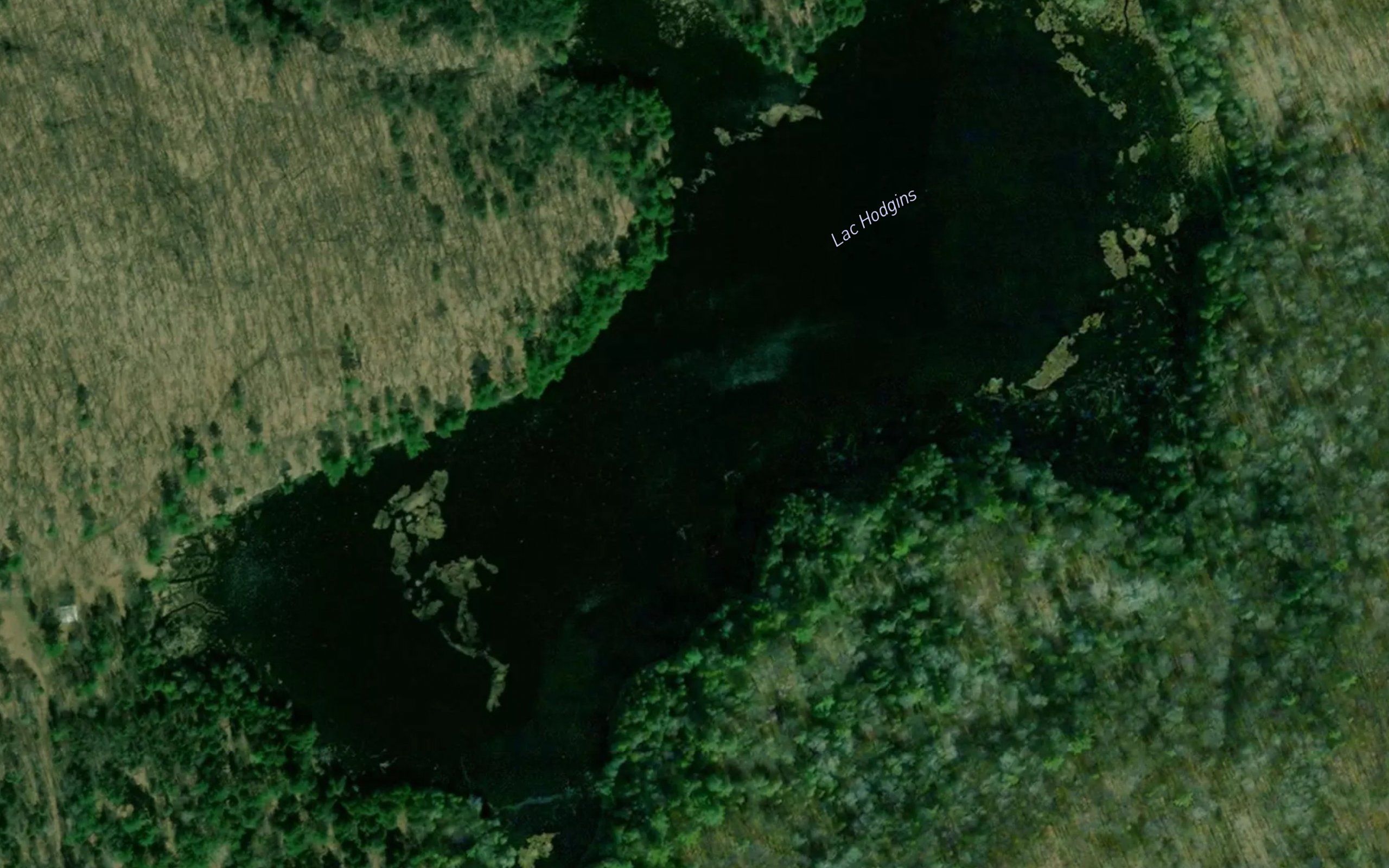 Lac Hodgins