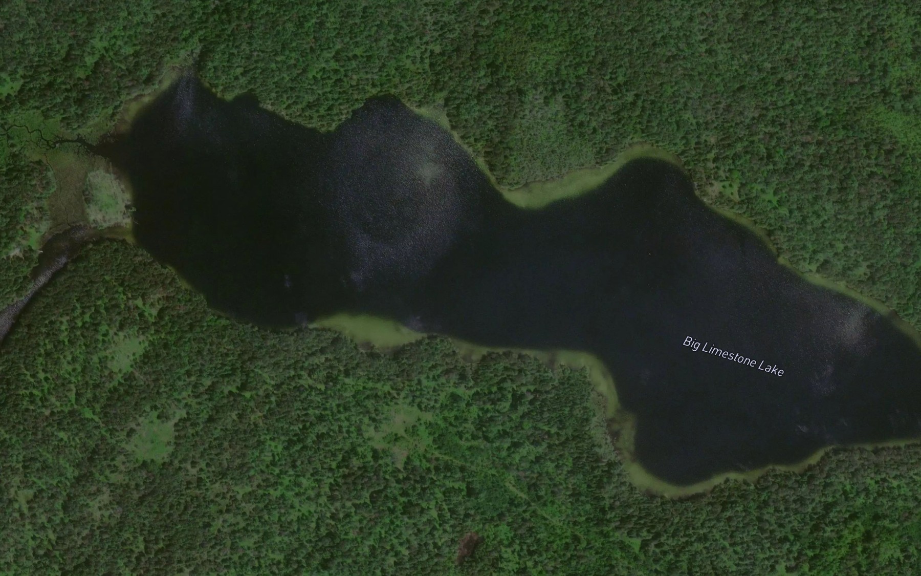 Satellite map of the Big Limestone Lake