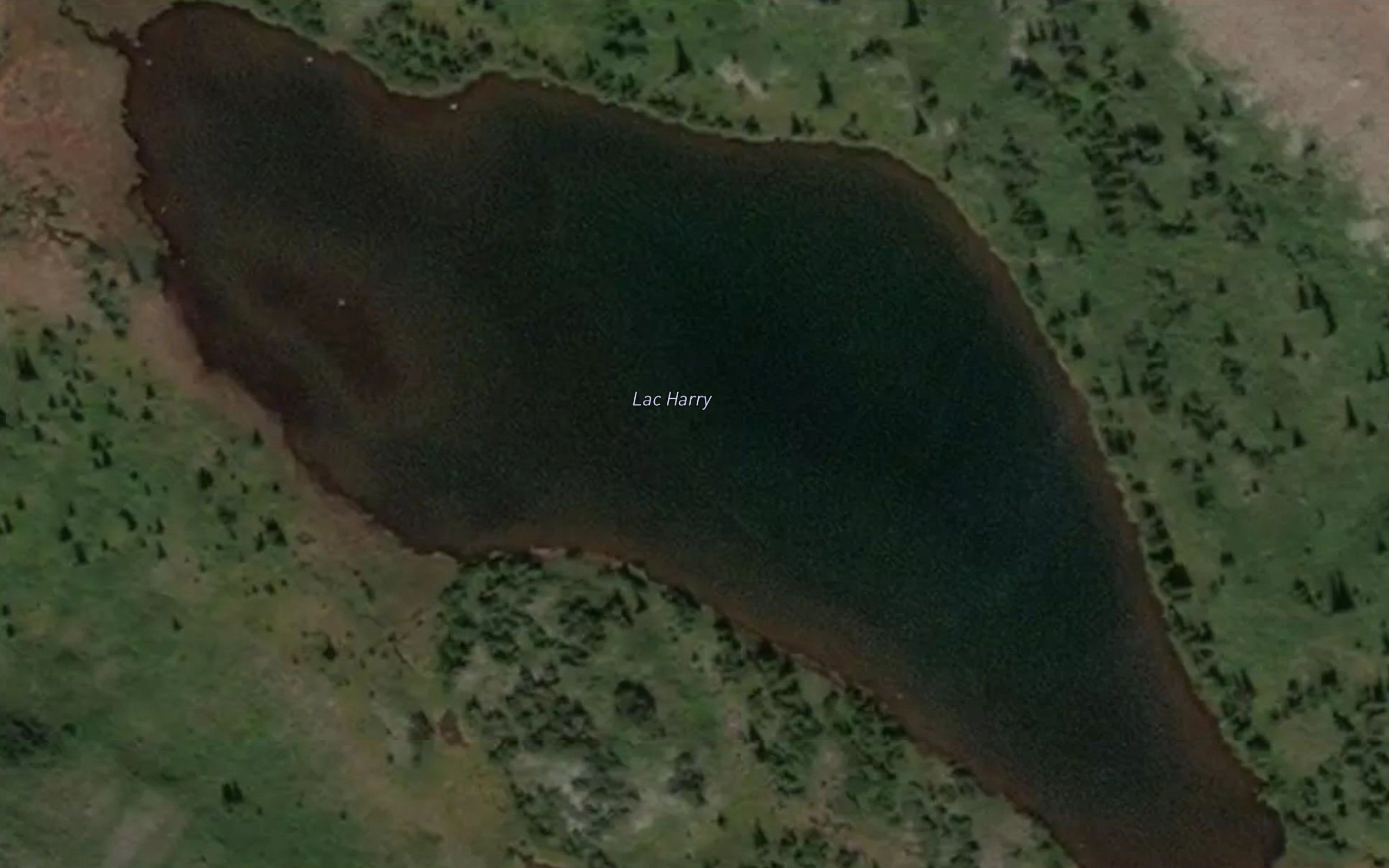 Lac Harry