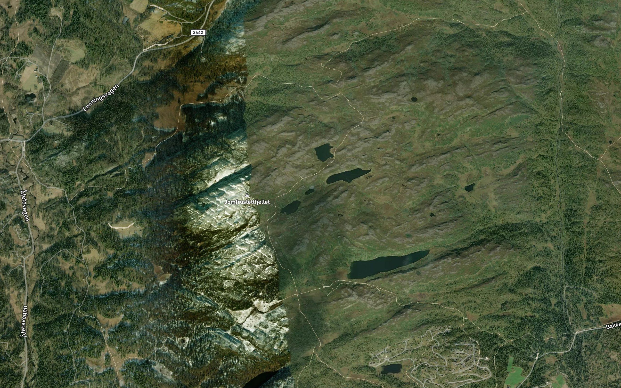 Tretjerni