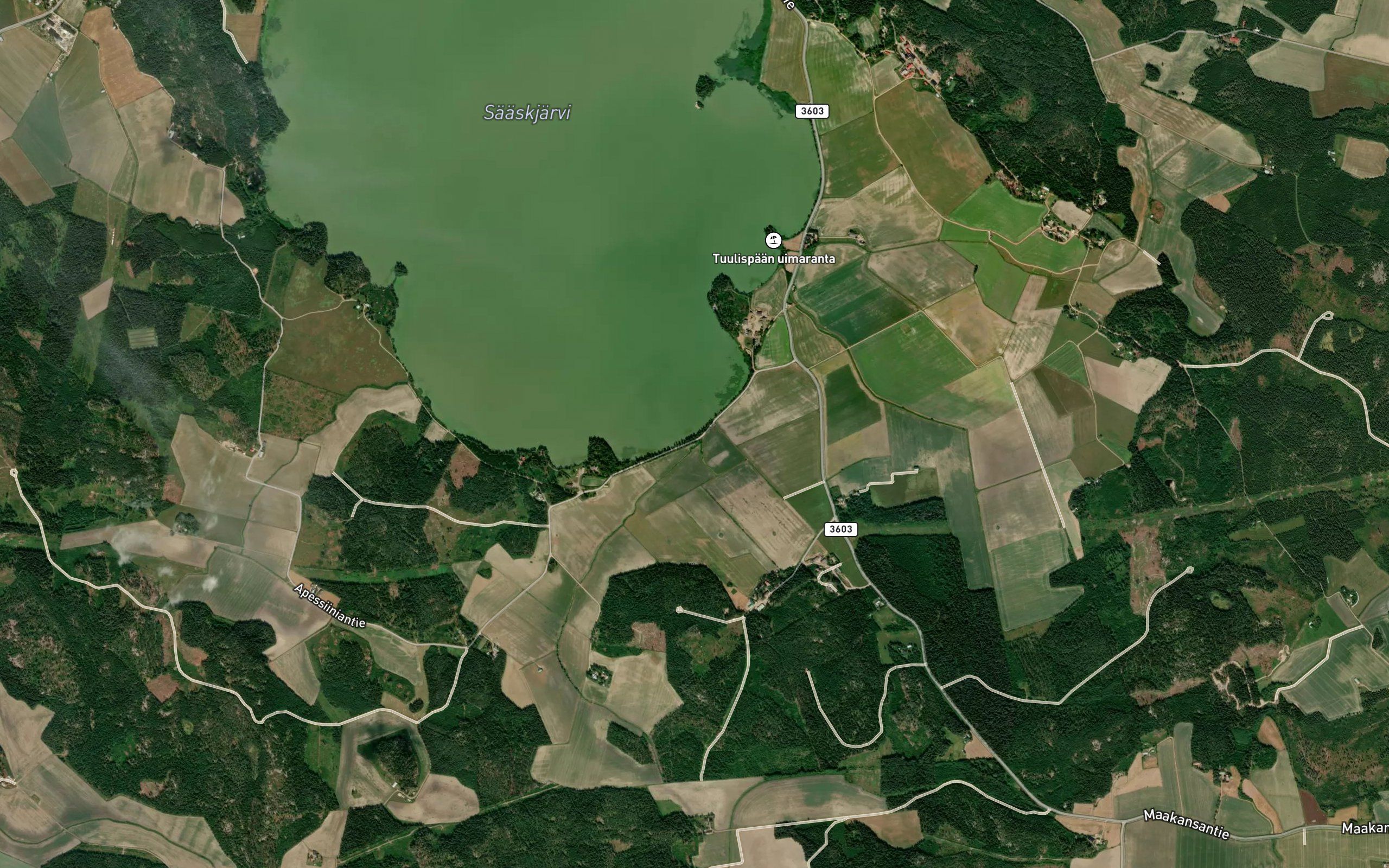 Voiminoja