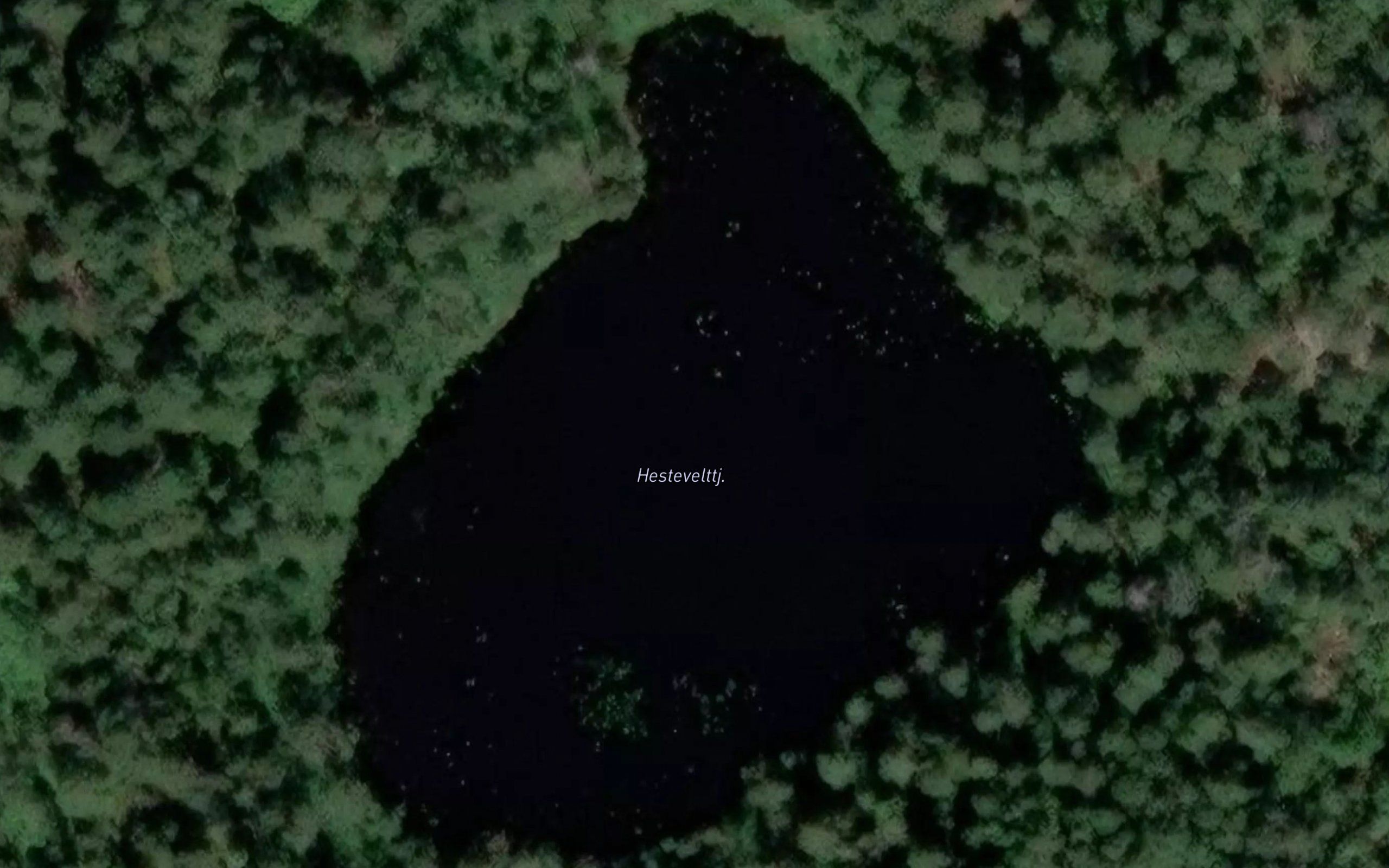 Lyngristjonn