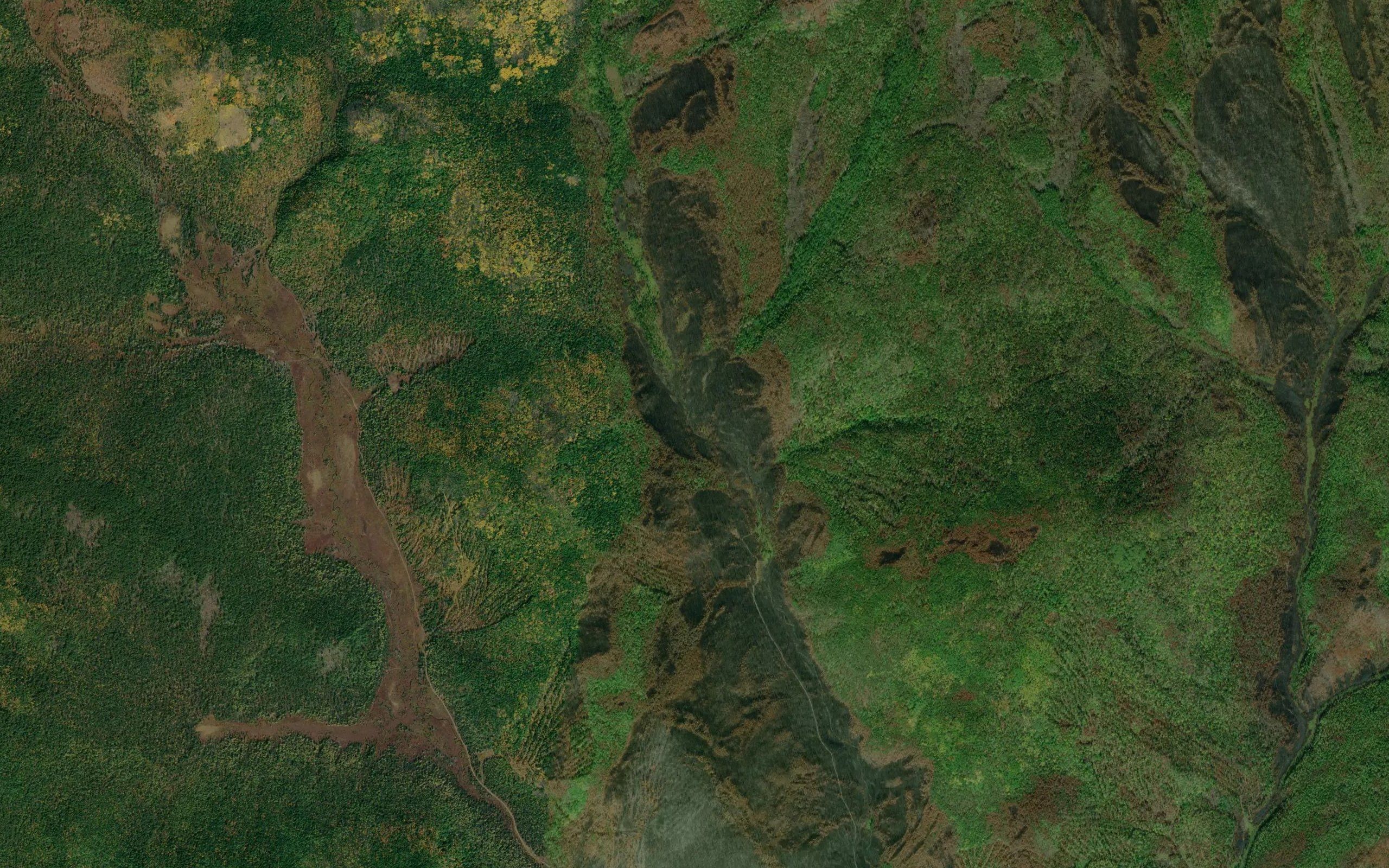 Urunta