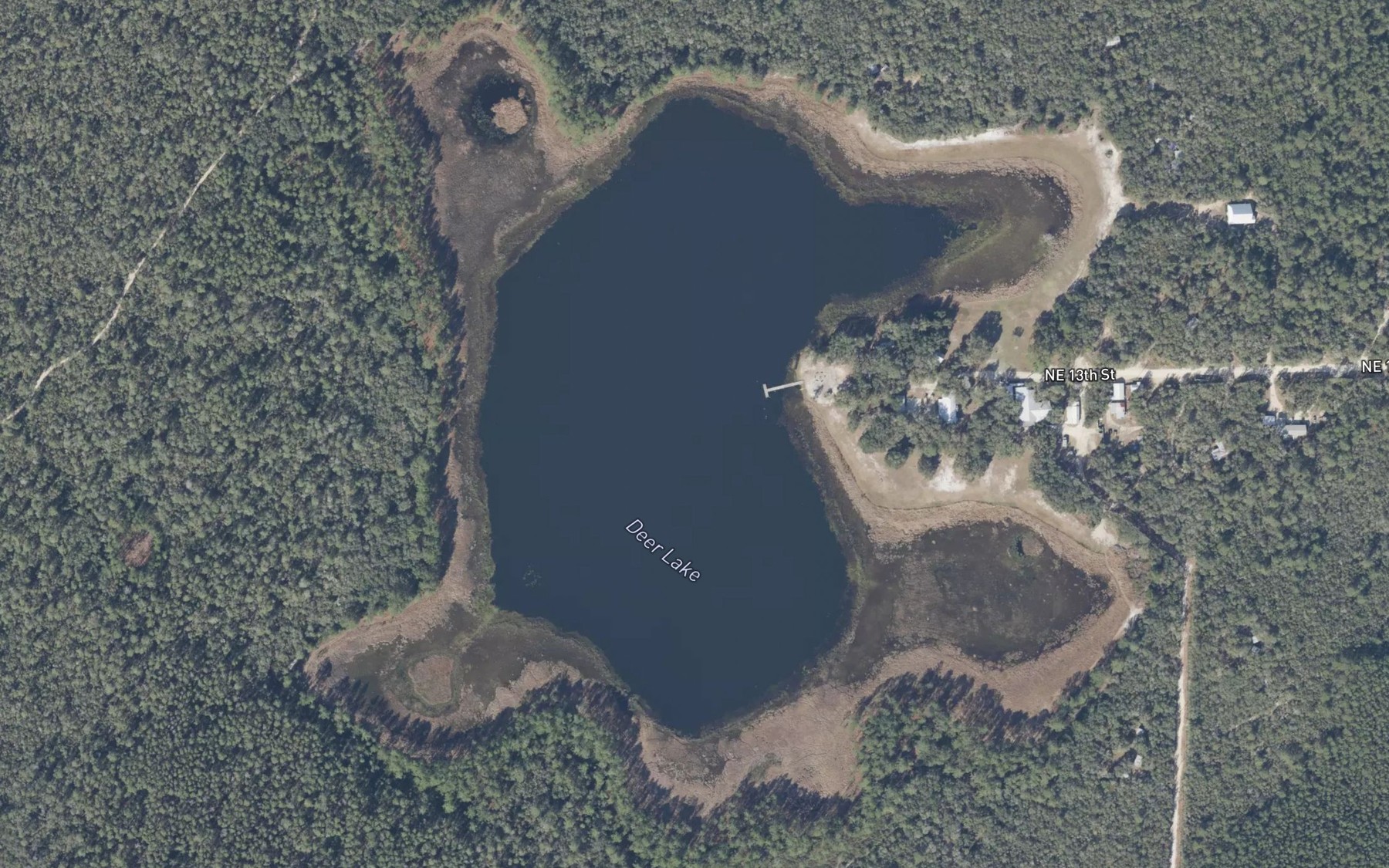 Satellite map of the Deer Lake