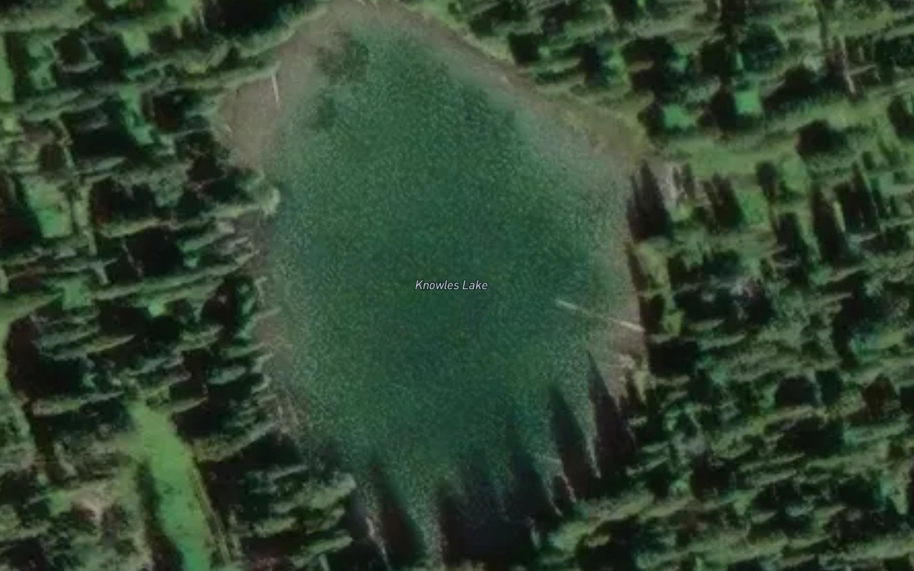 Satellite map of the Knowles Lake