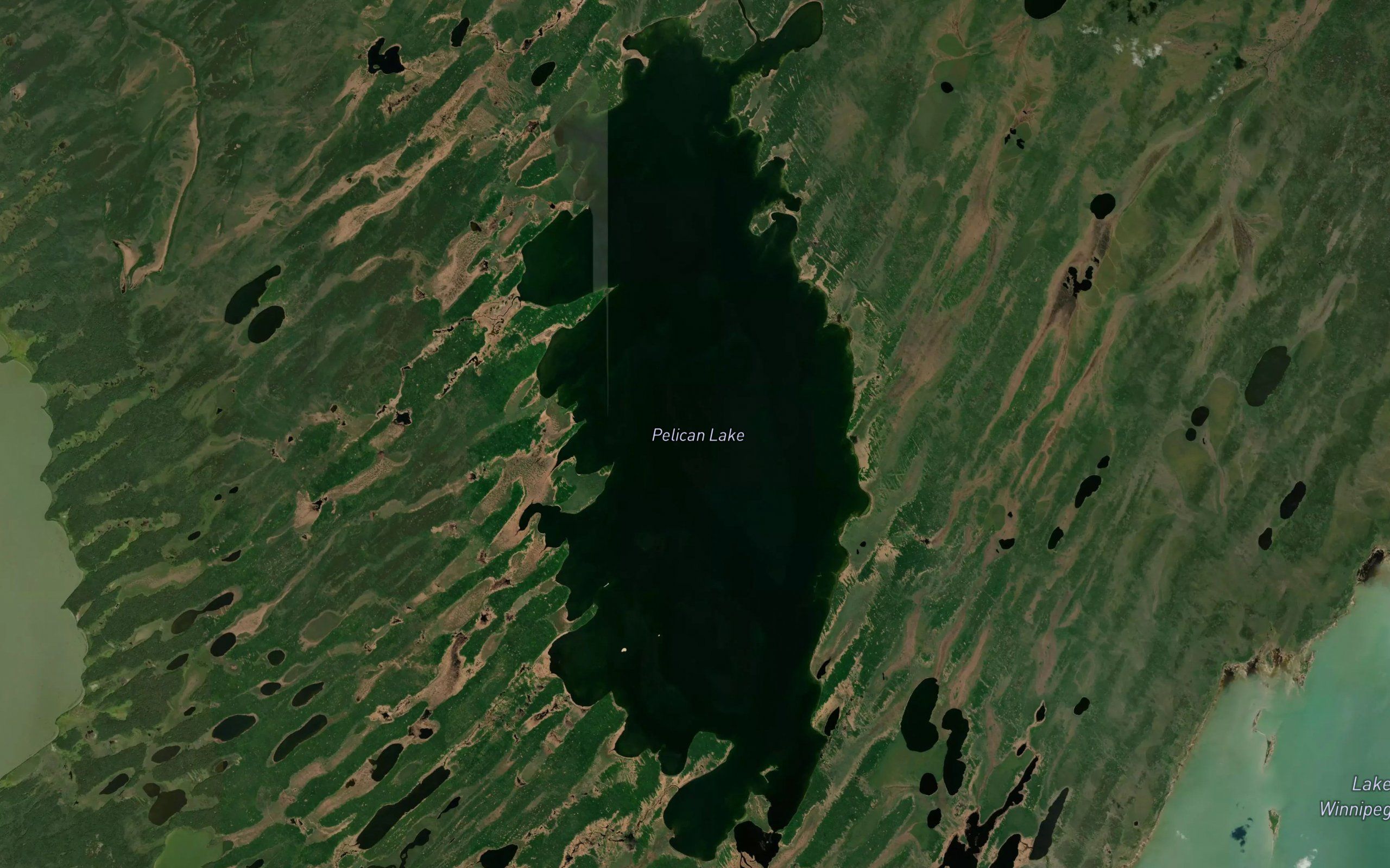 Pelican Lake