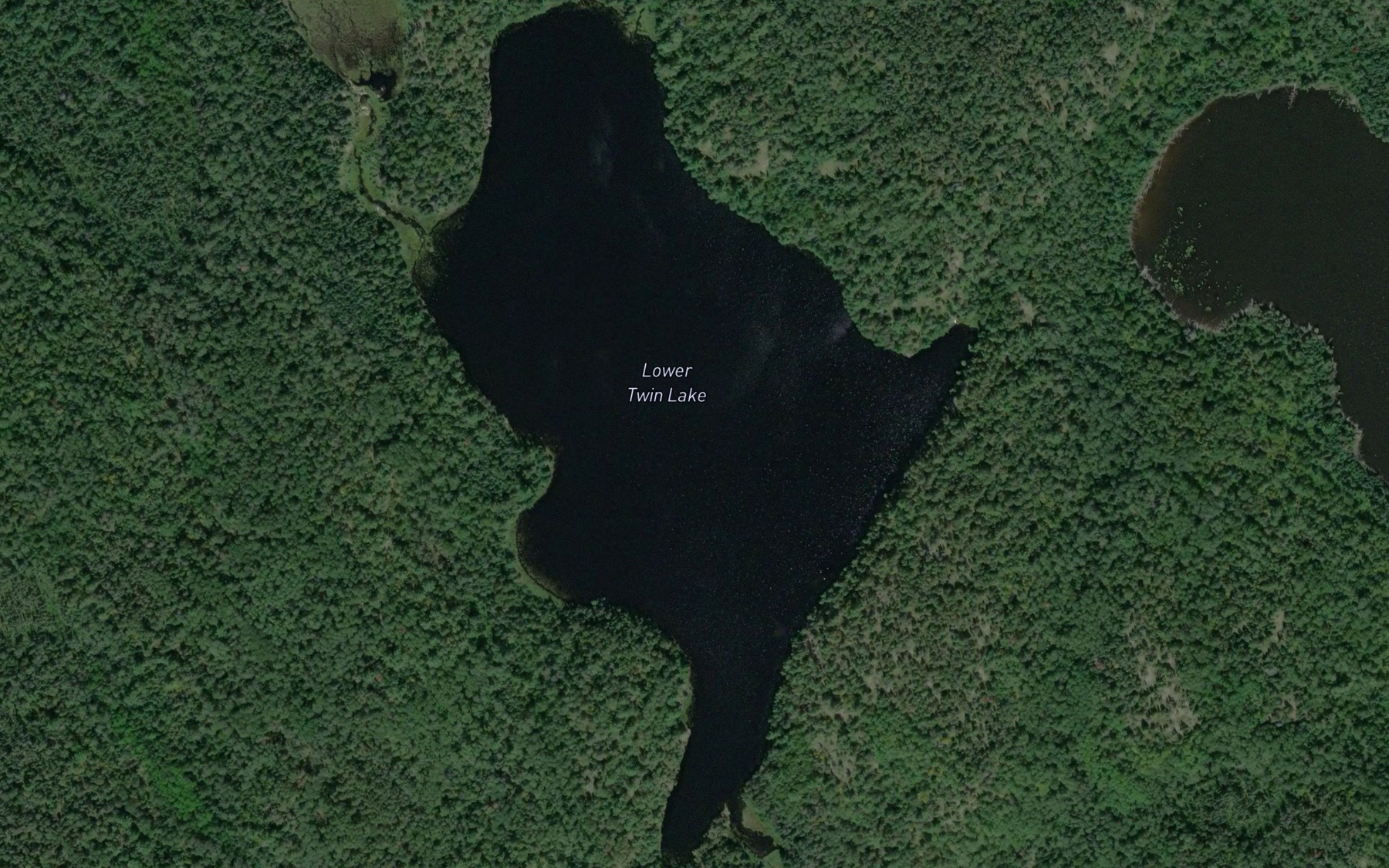 Satellite map of the Lower Twin Lake