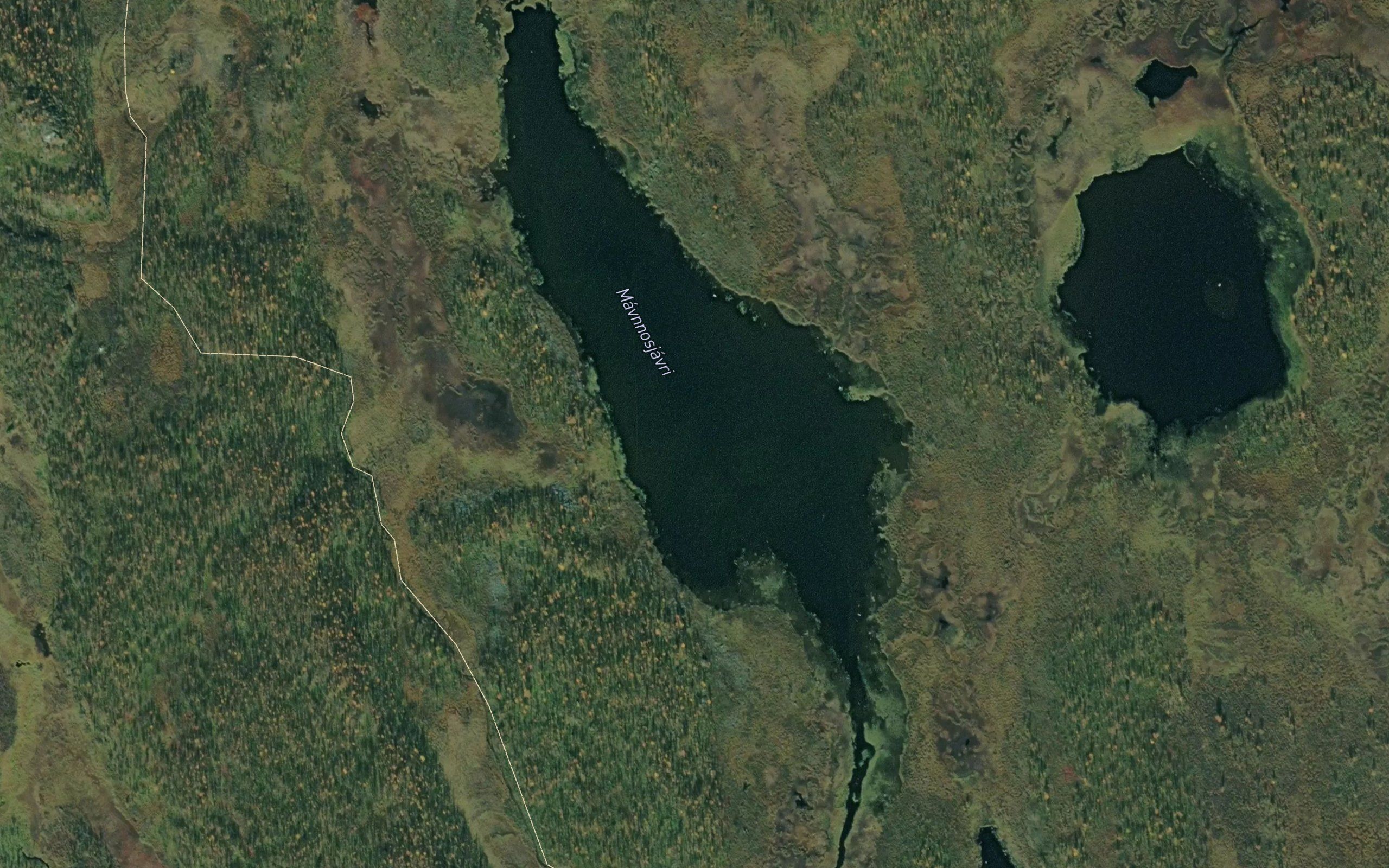Mavnusjavri