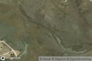 Madre de las Marismas del Rocio