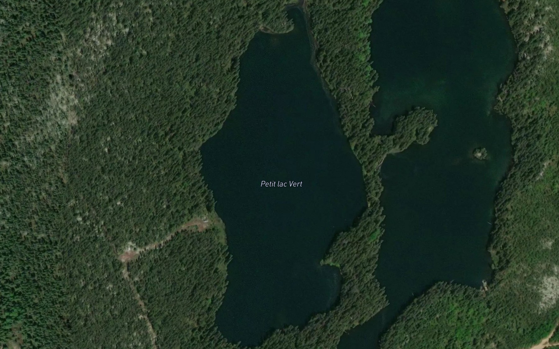 Satellite map of the Petit lac Vert