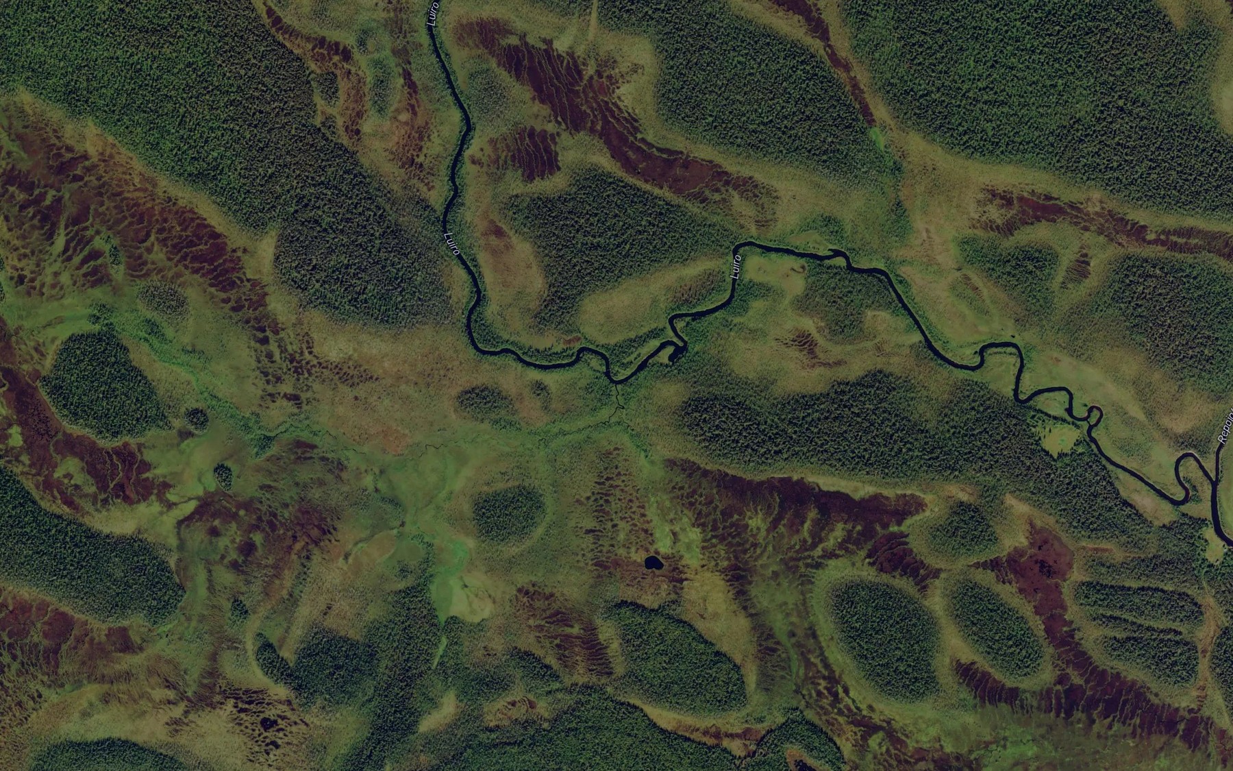 Satellite map of the Apijoki