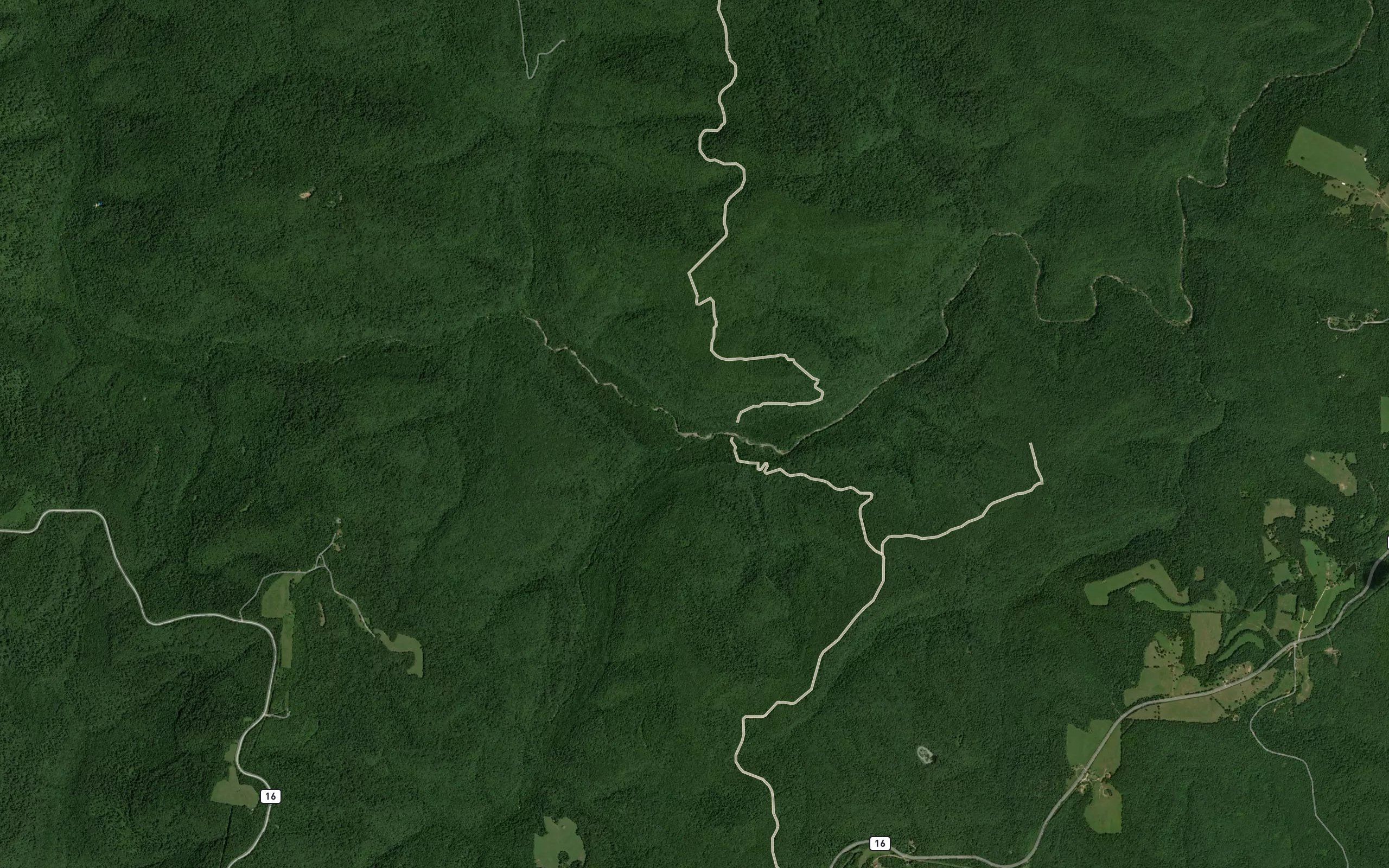 Reeves Fork