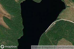 Stor-Blabergstraesket