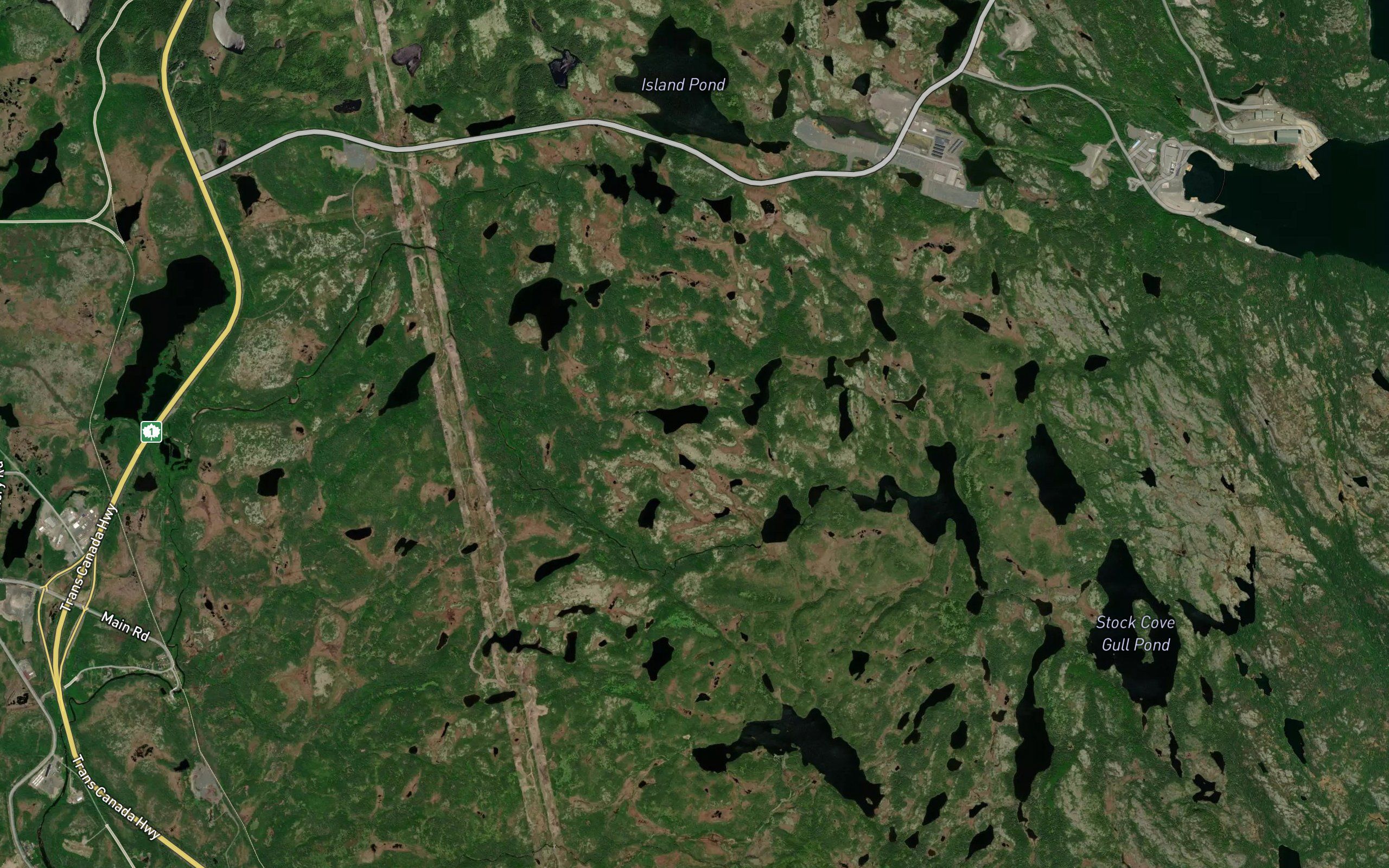 Uncle Steves Pond