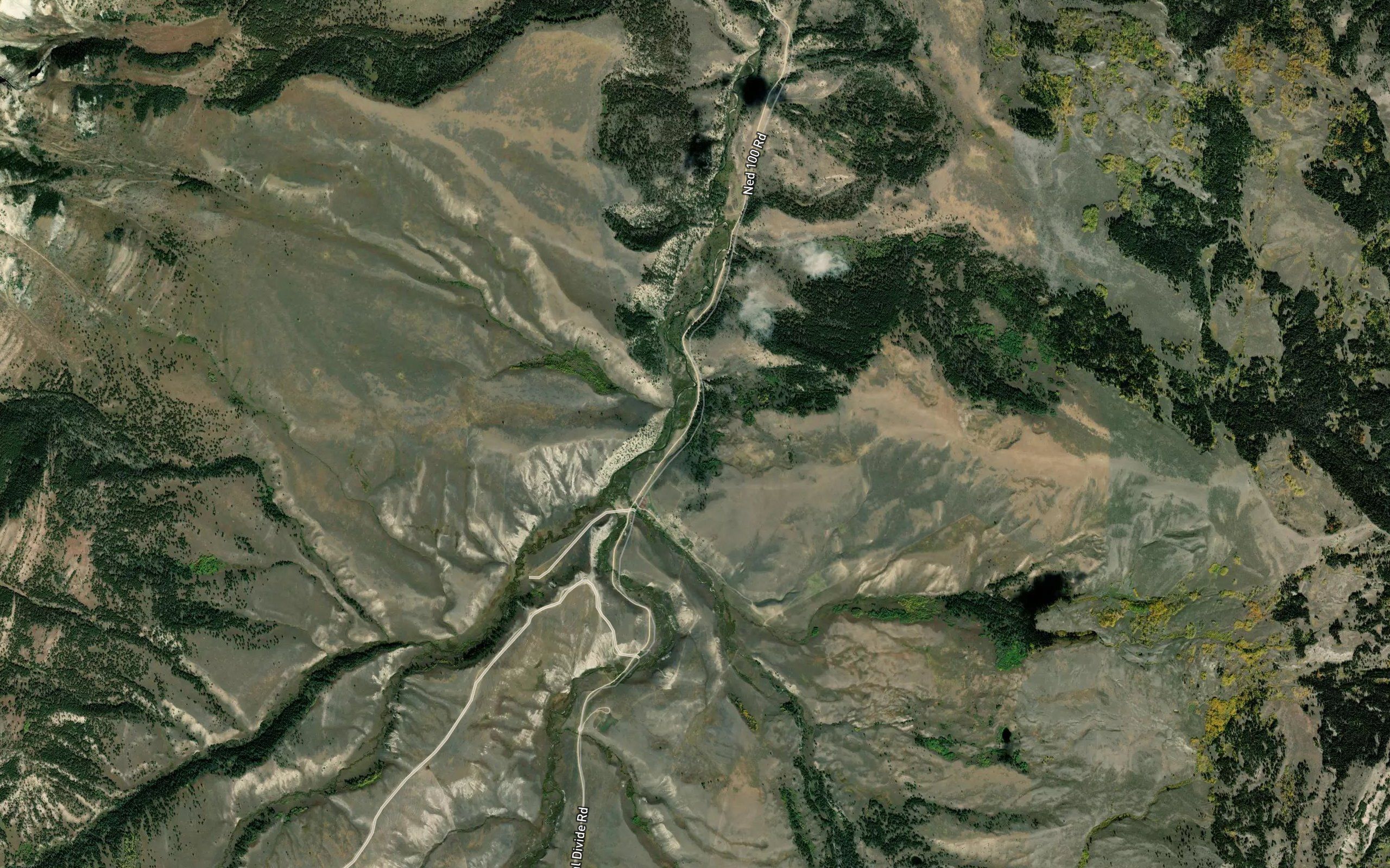 Dog Creek Spring