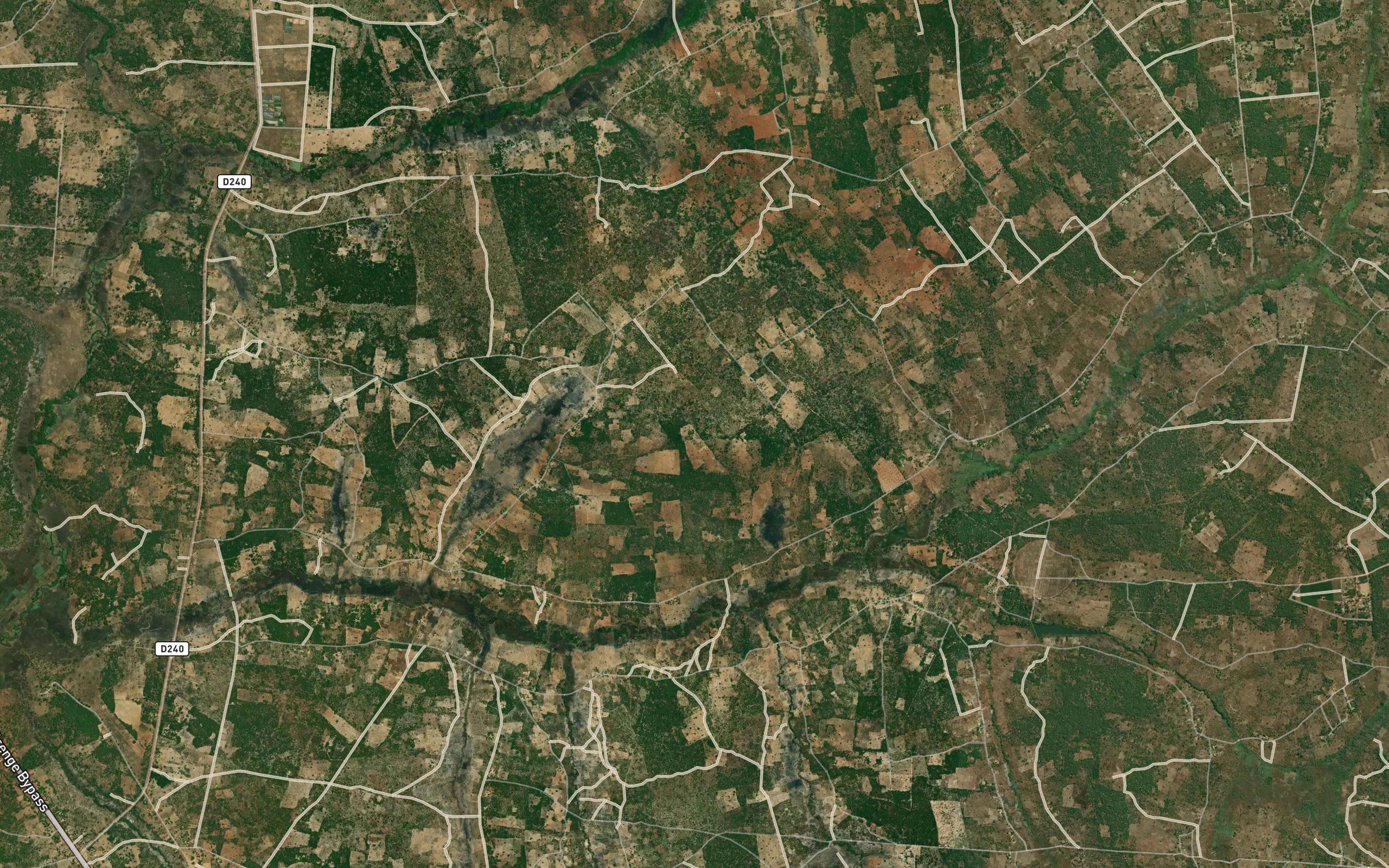Fikolongo