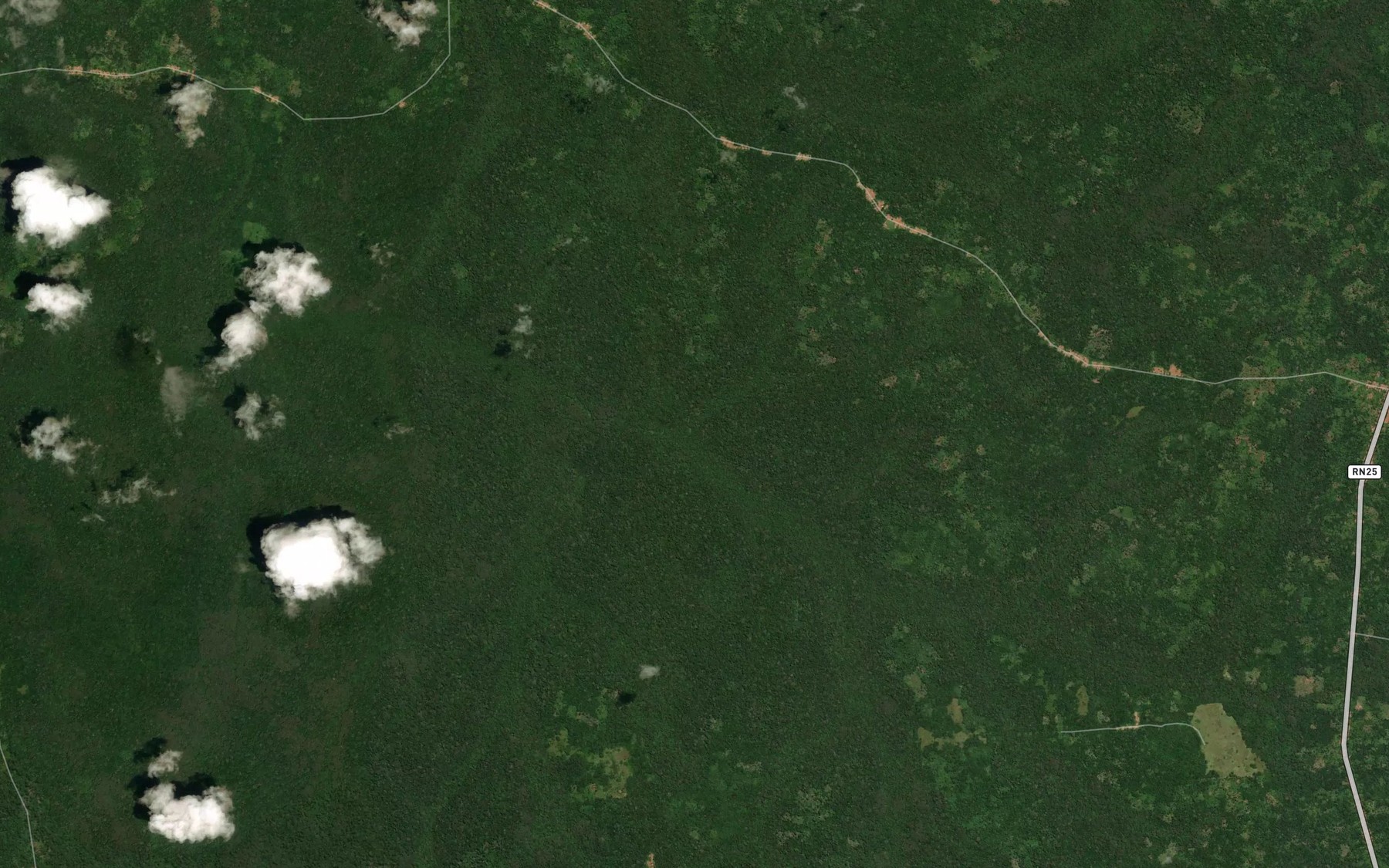Satellite map of the Dinembo
