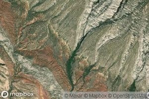 Elder Spring