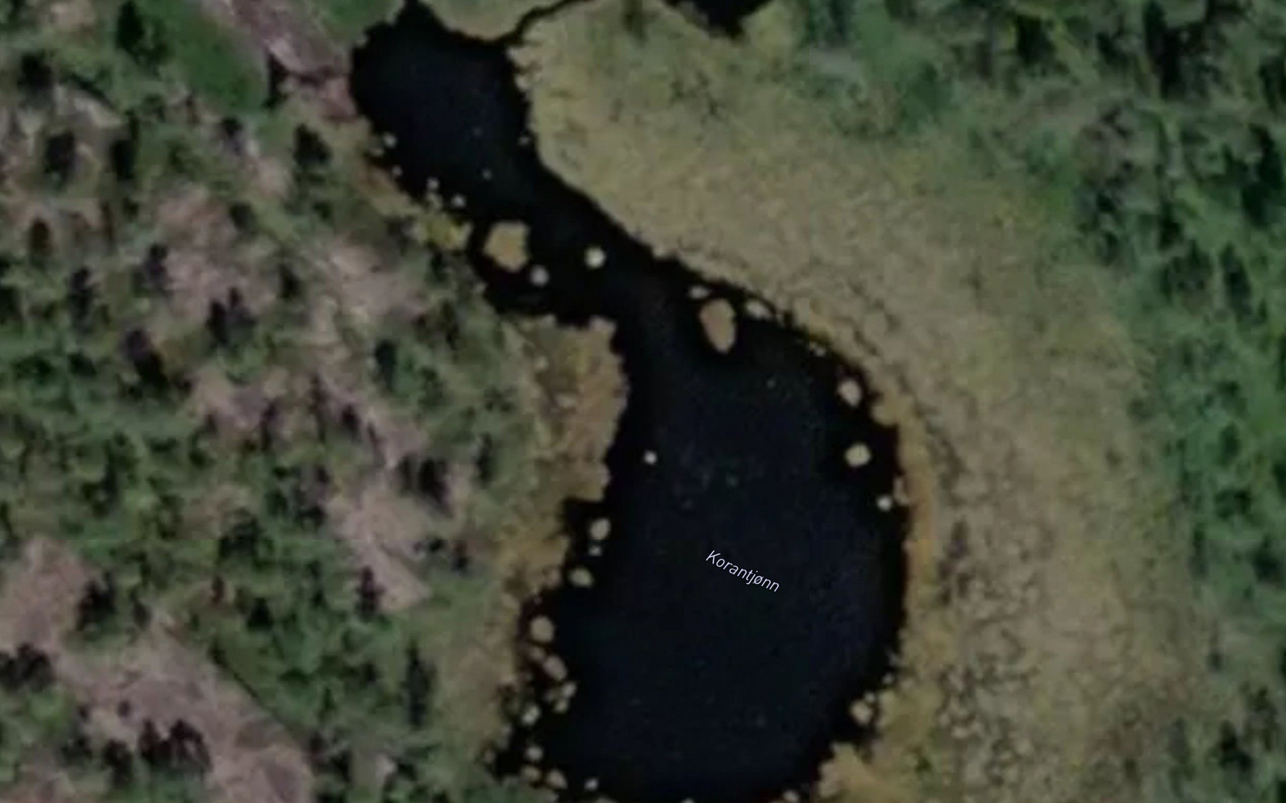 Korantjonn