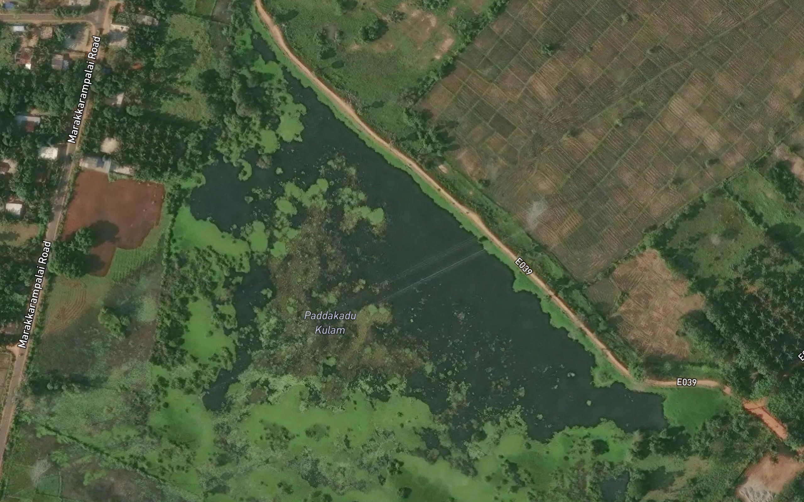 Pattiniyarmakilan Kulam