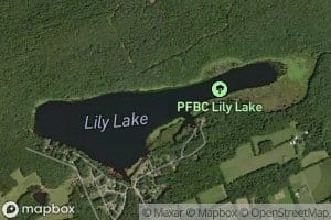Lily Lake