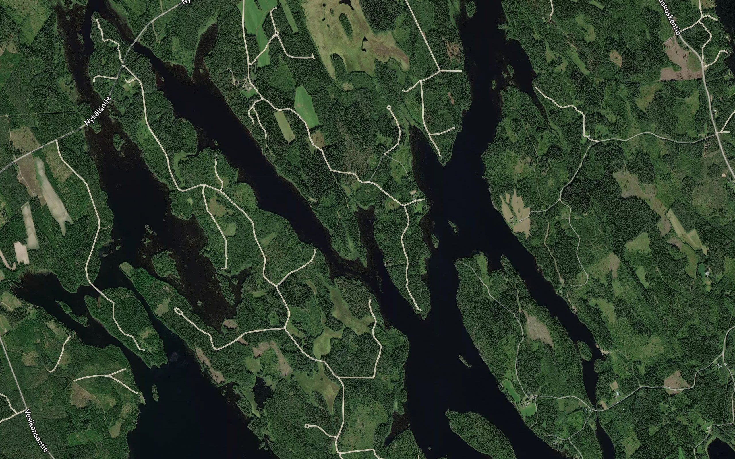 Kalakaukalo