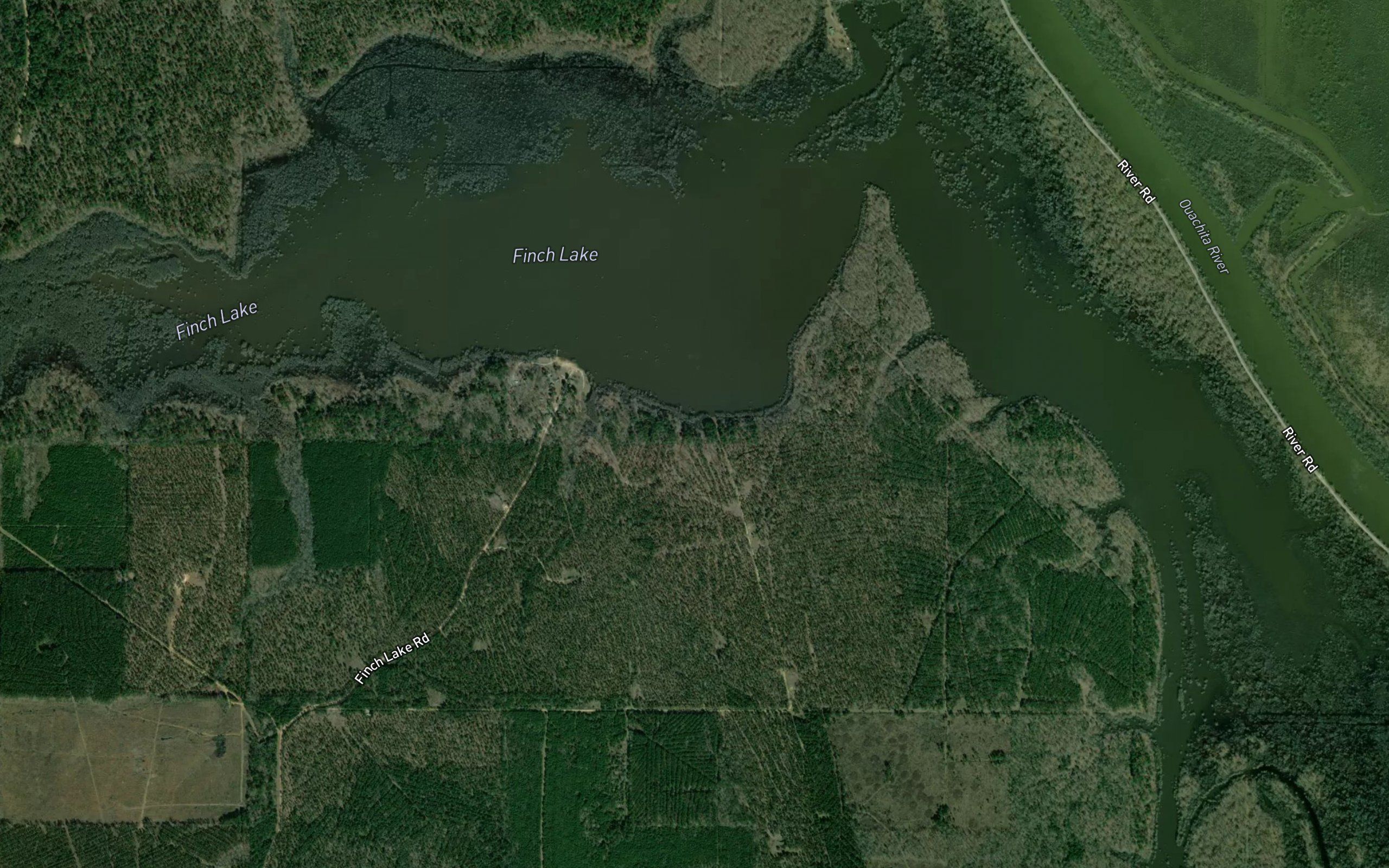 Finch Lake