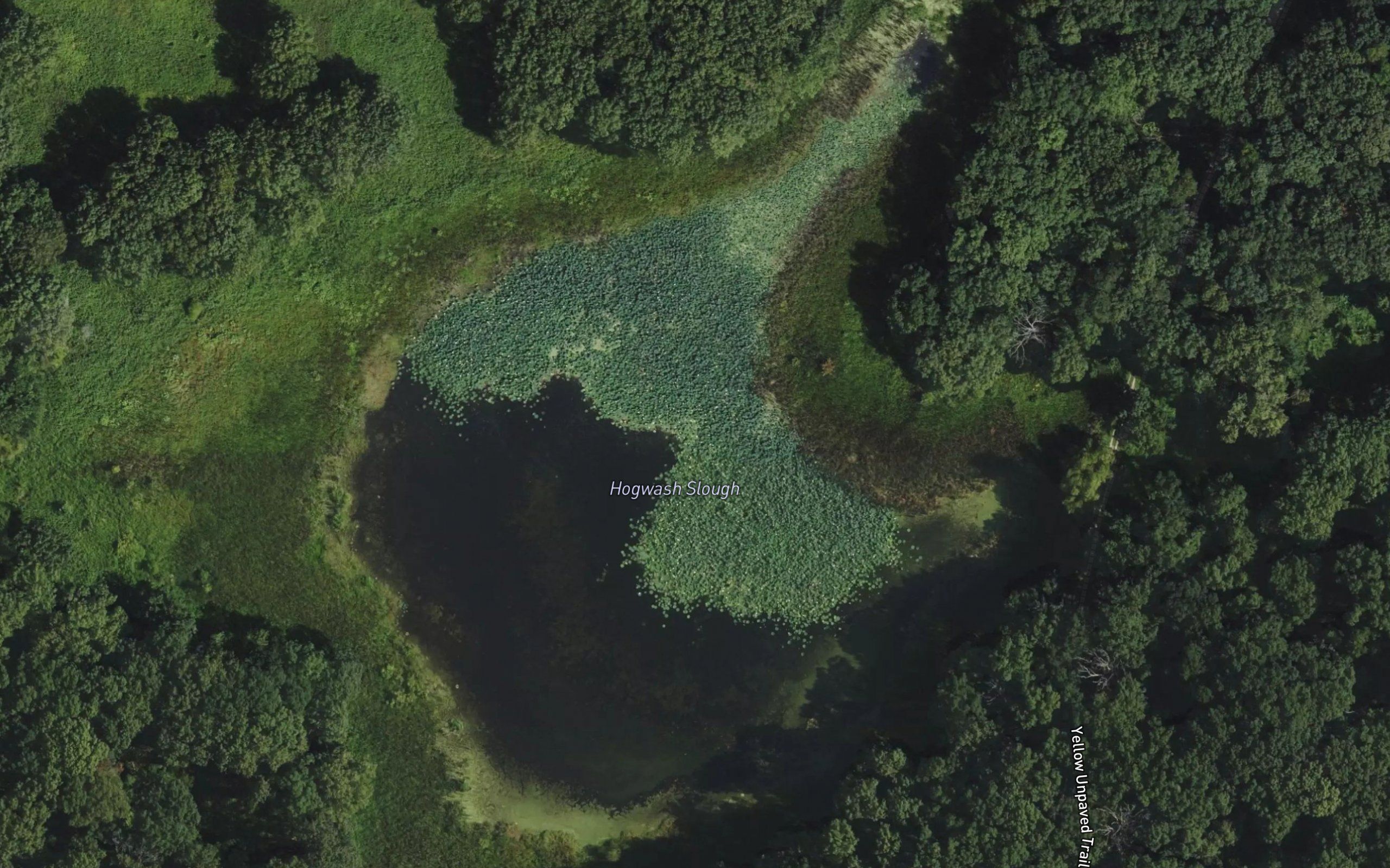 Hogwash Slough