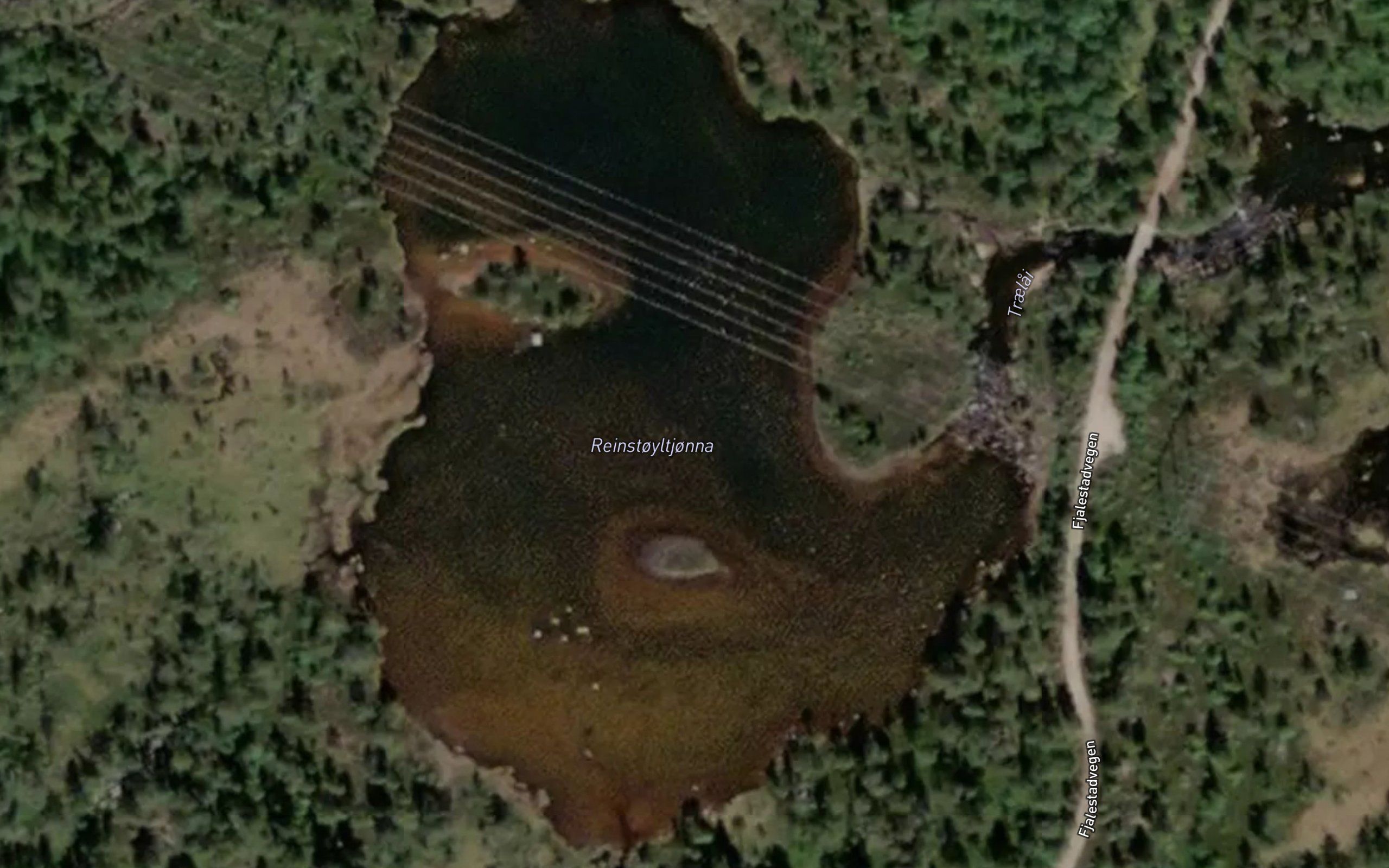 Reinstoltjorni