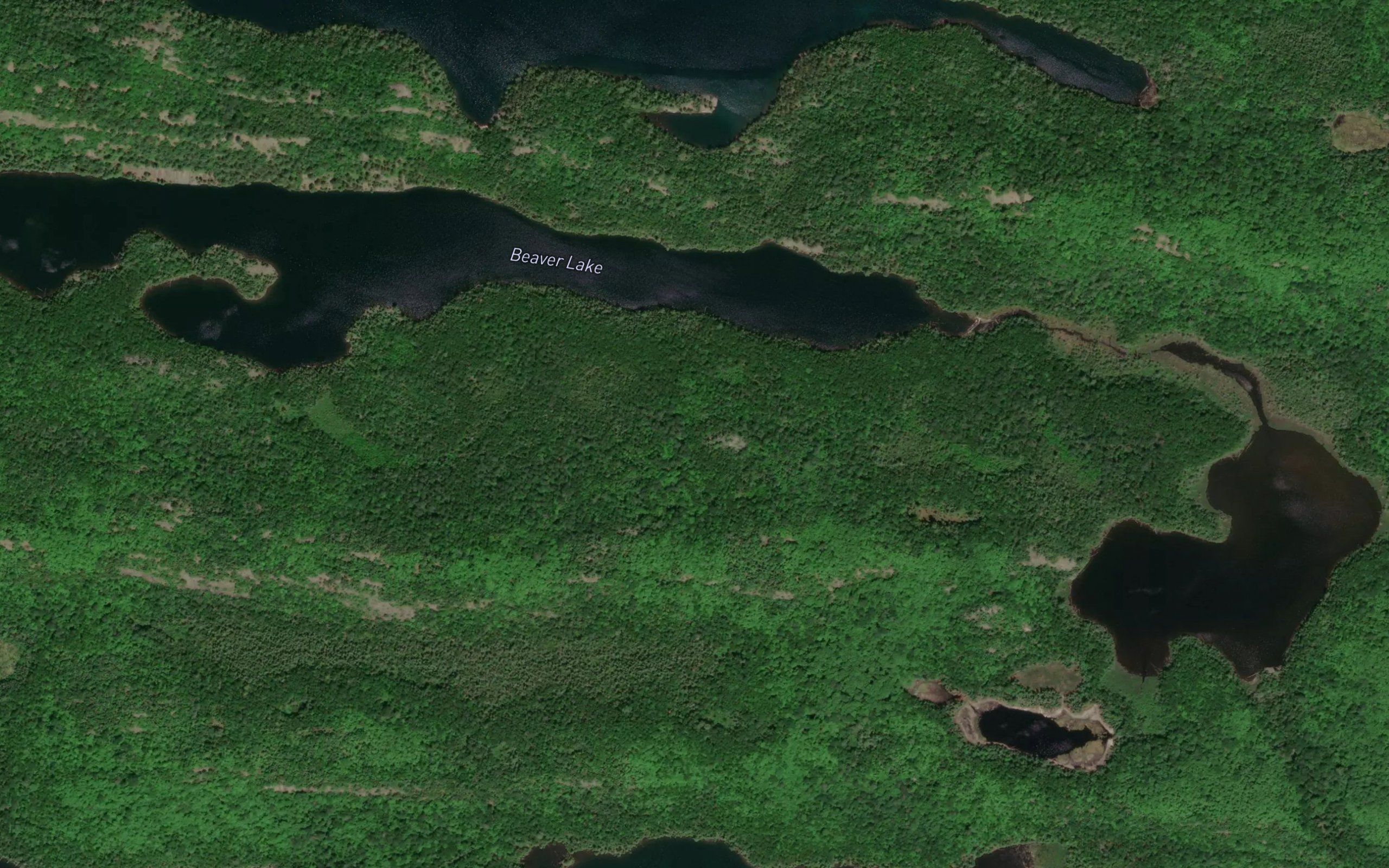 Beaver Lake