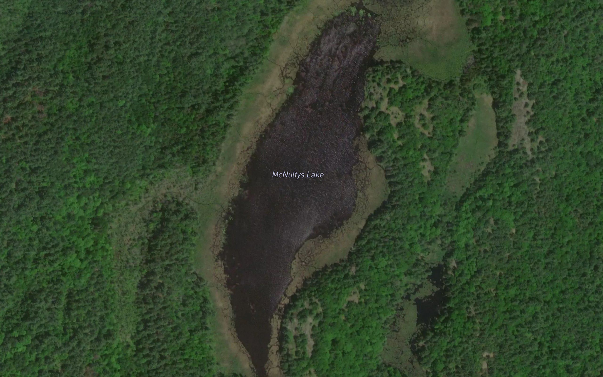 McNultys Lake