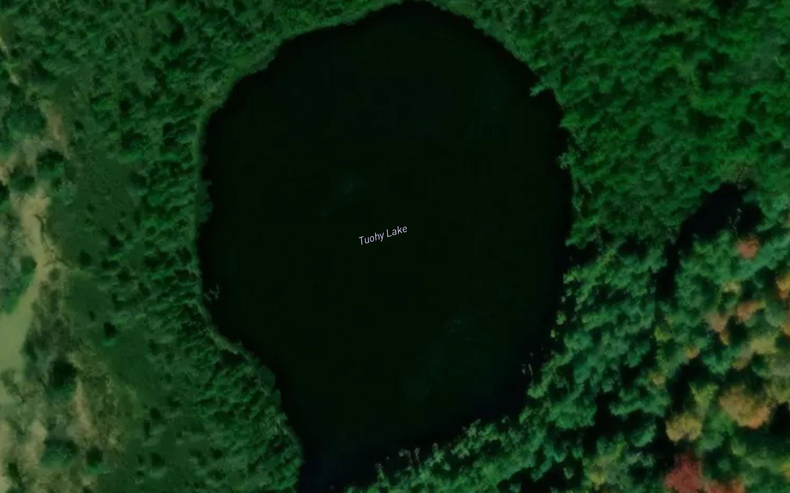Tuohy Lake